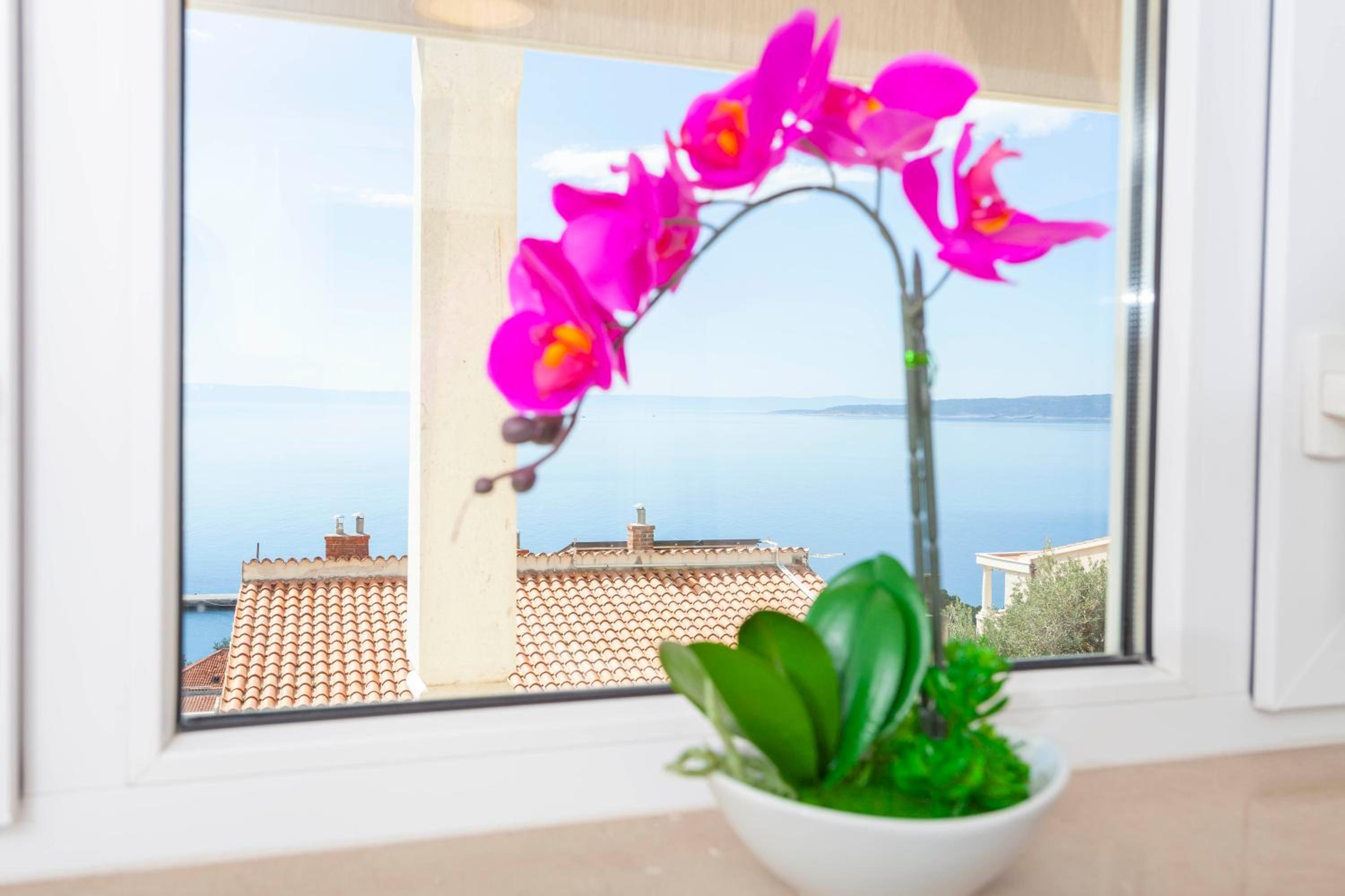 One-Bedroom Apartment with Sea View and Terrace photo 3