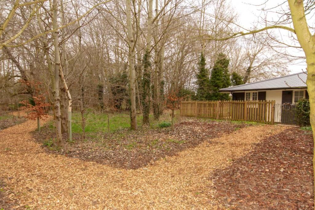 Three-Bedroom House - Photo 14
