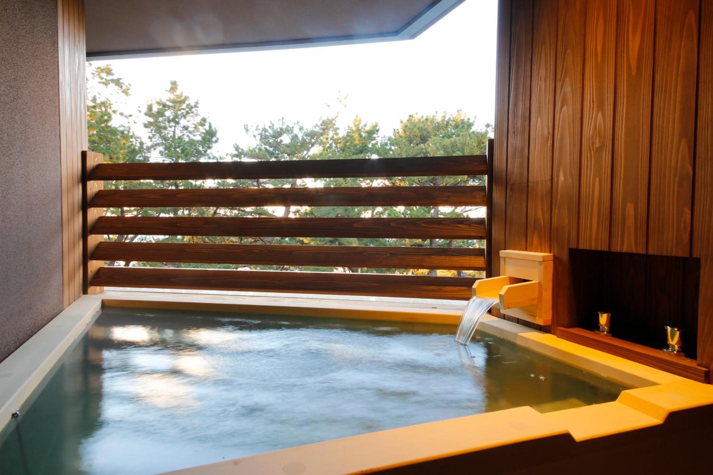Japanese-Western Room with open-air bath TYPE E - Non-Smoking (2nd-3rd Floor) photo 3