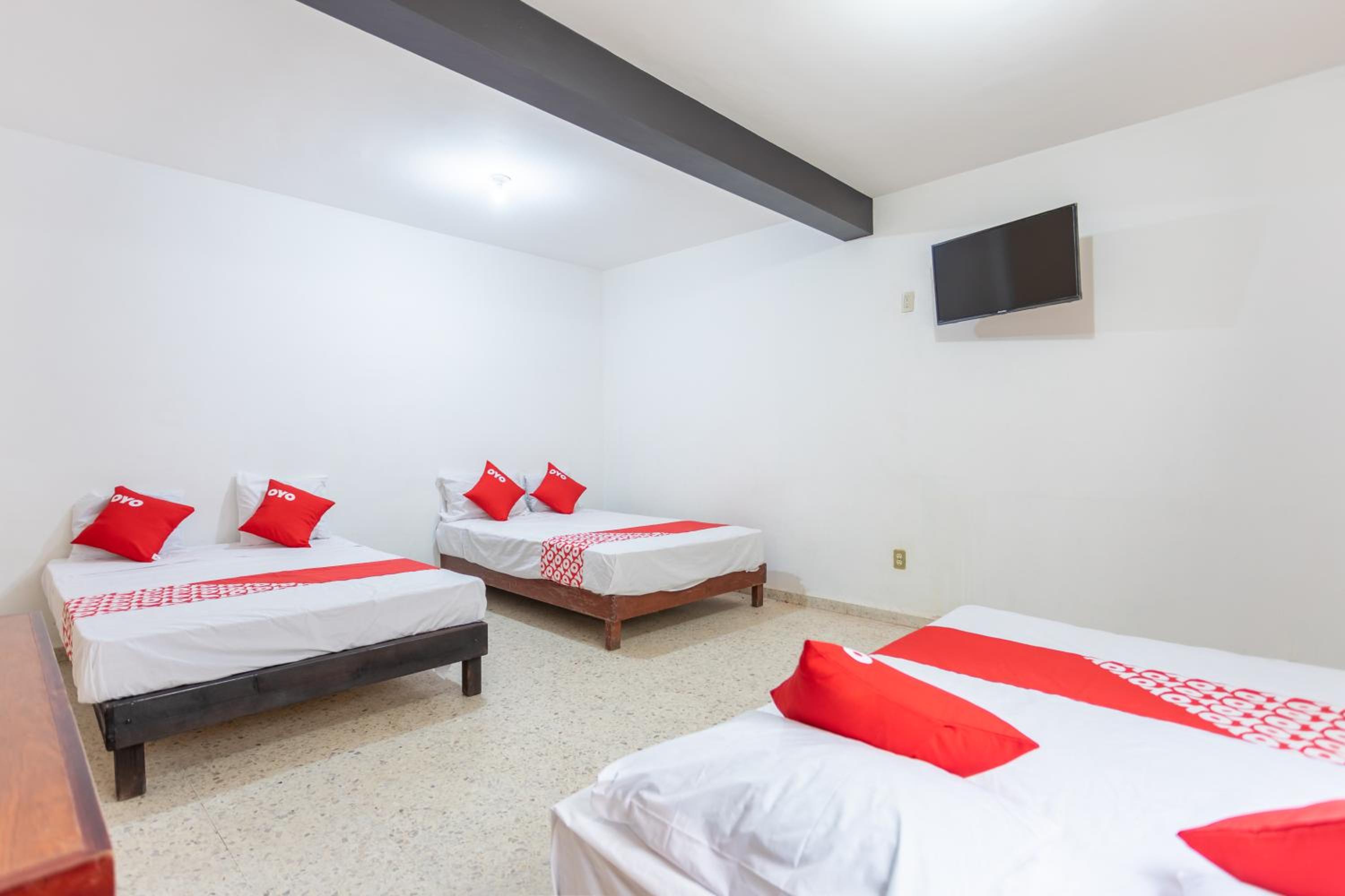 Standard Three beds - Photo 1