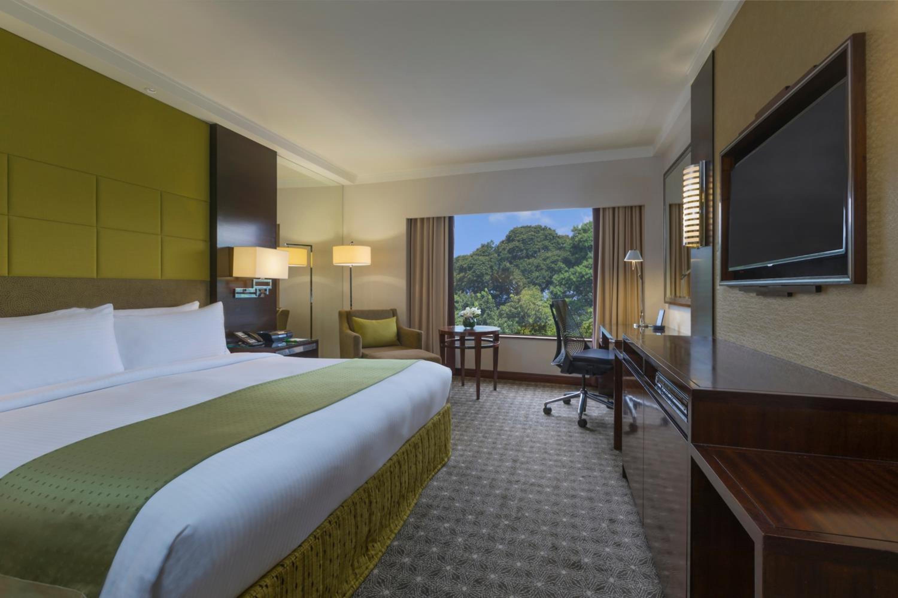Junior King Suite