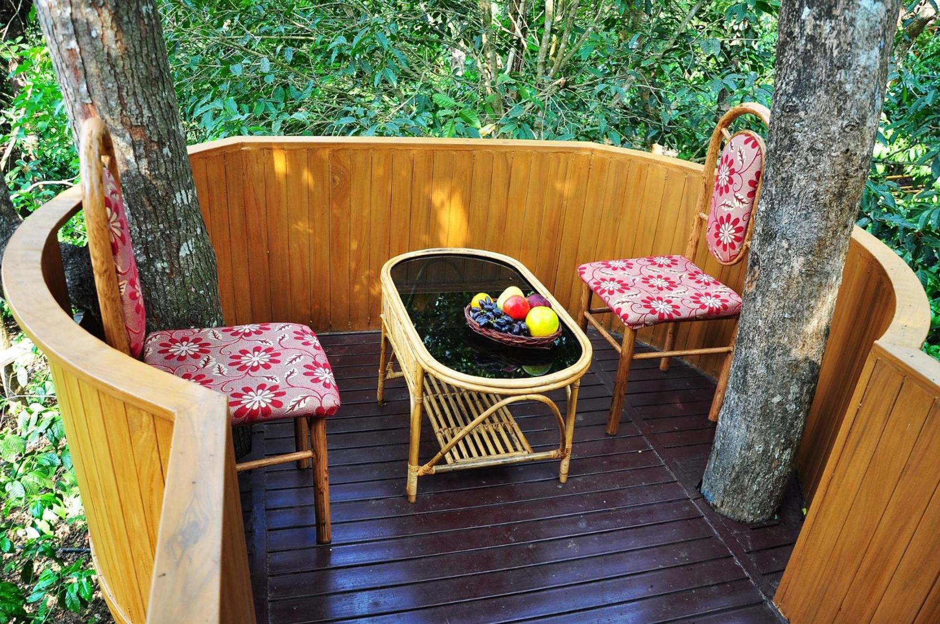 Tree House photo 3