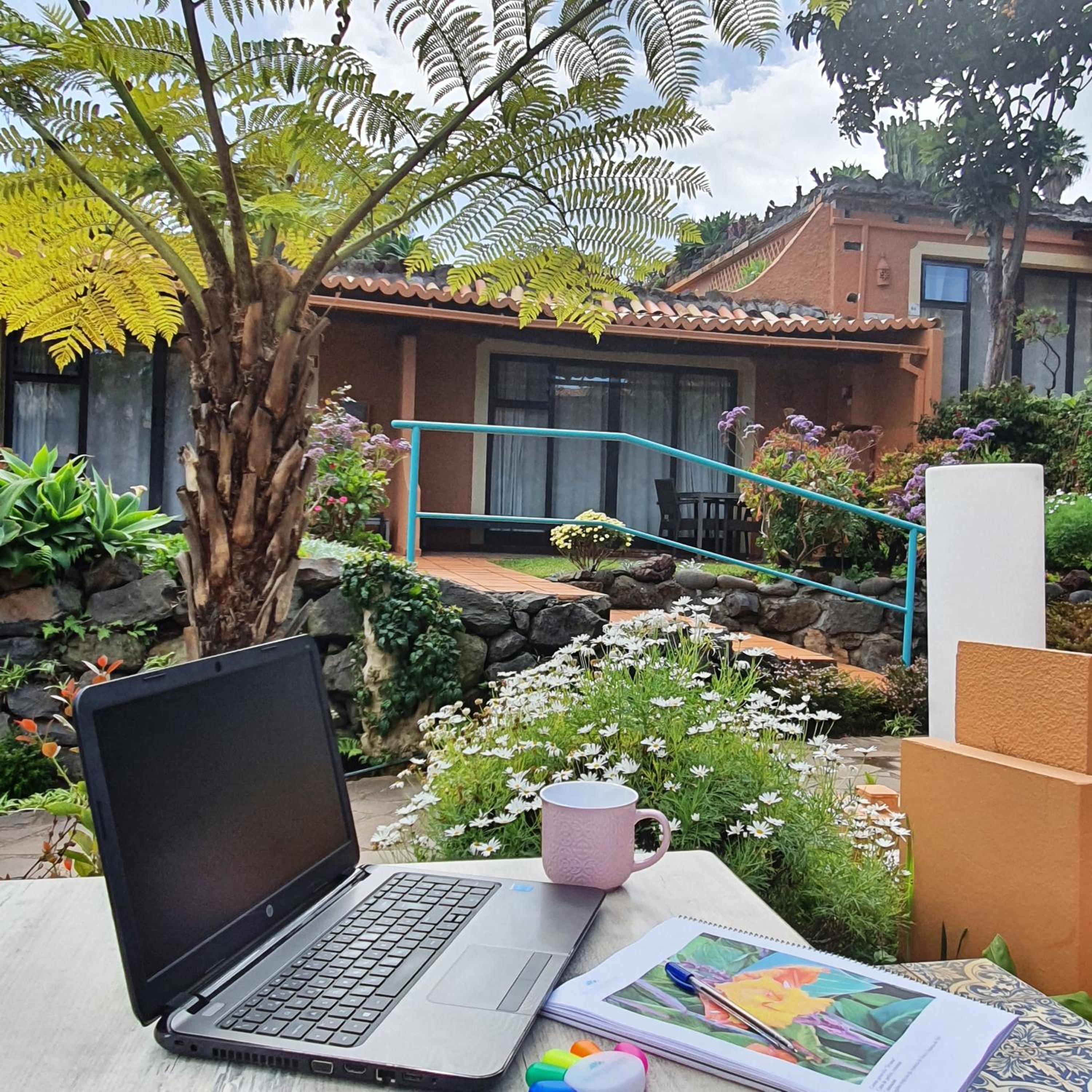 Standard Studio with garden view  - Photo 5