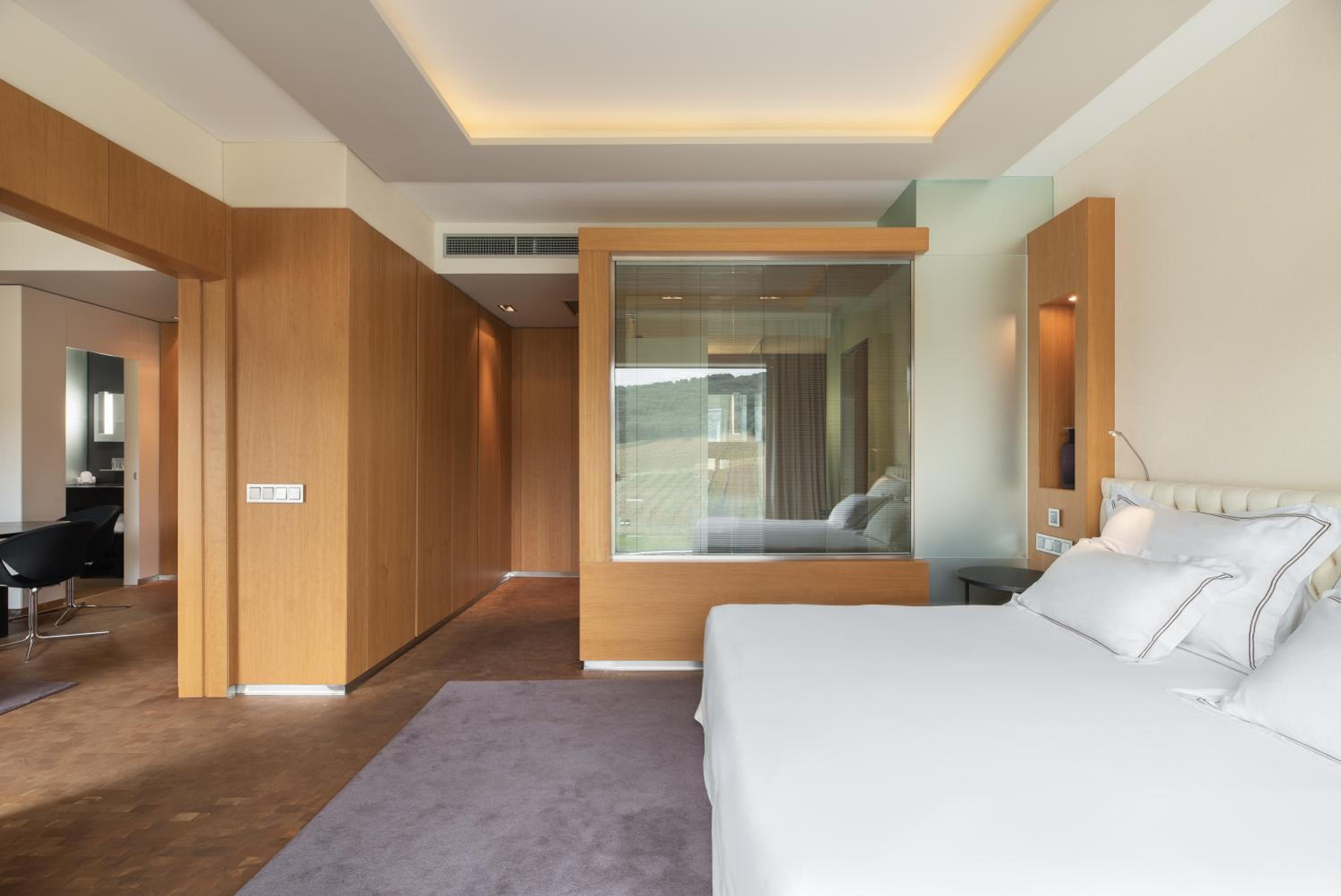 Suite - Photo 1