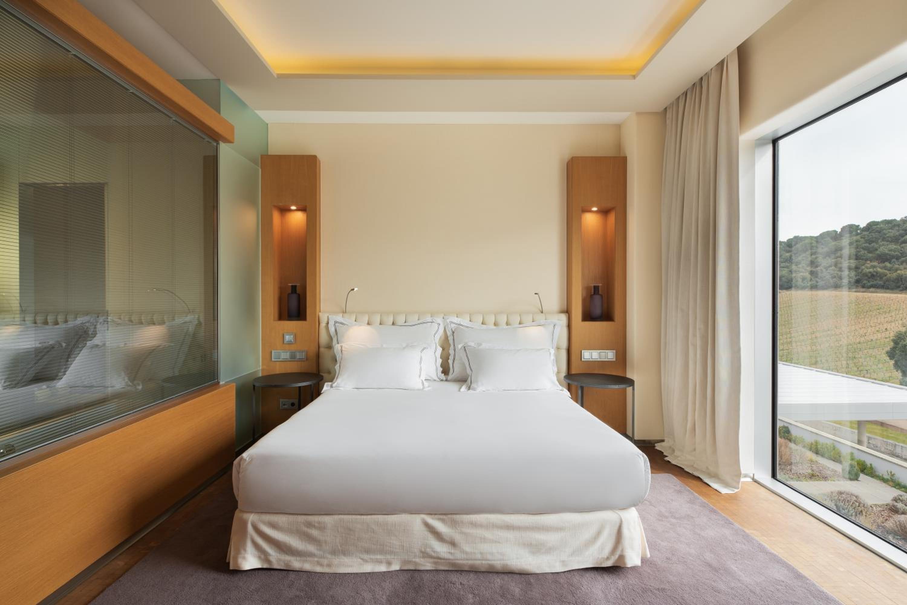 Suite - Photo 3
