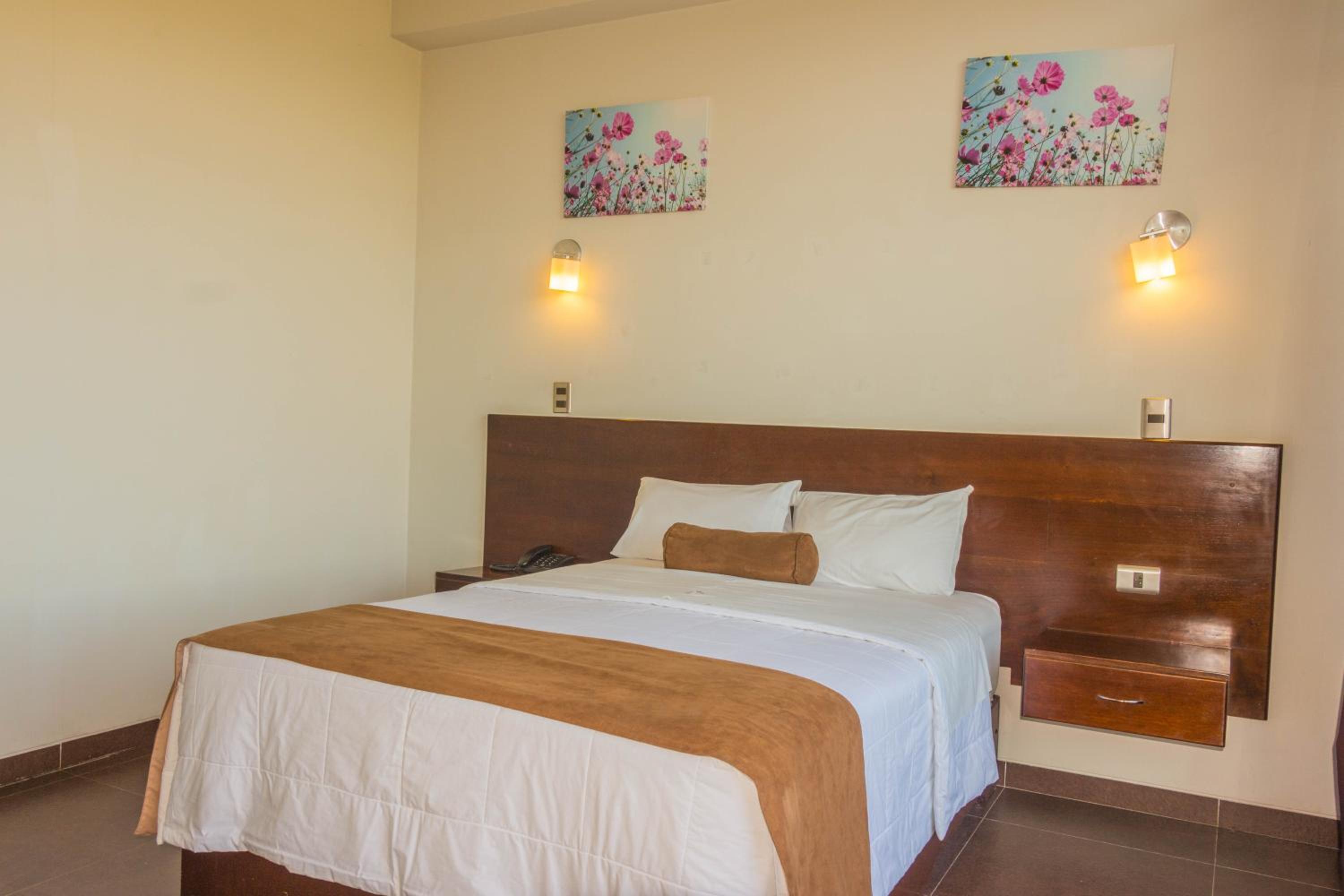Superior Double Room photo 3