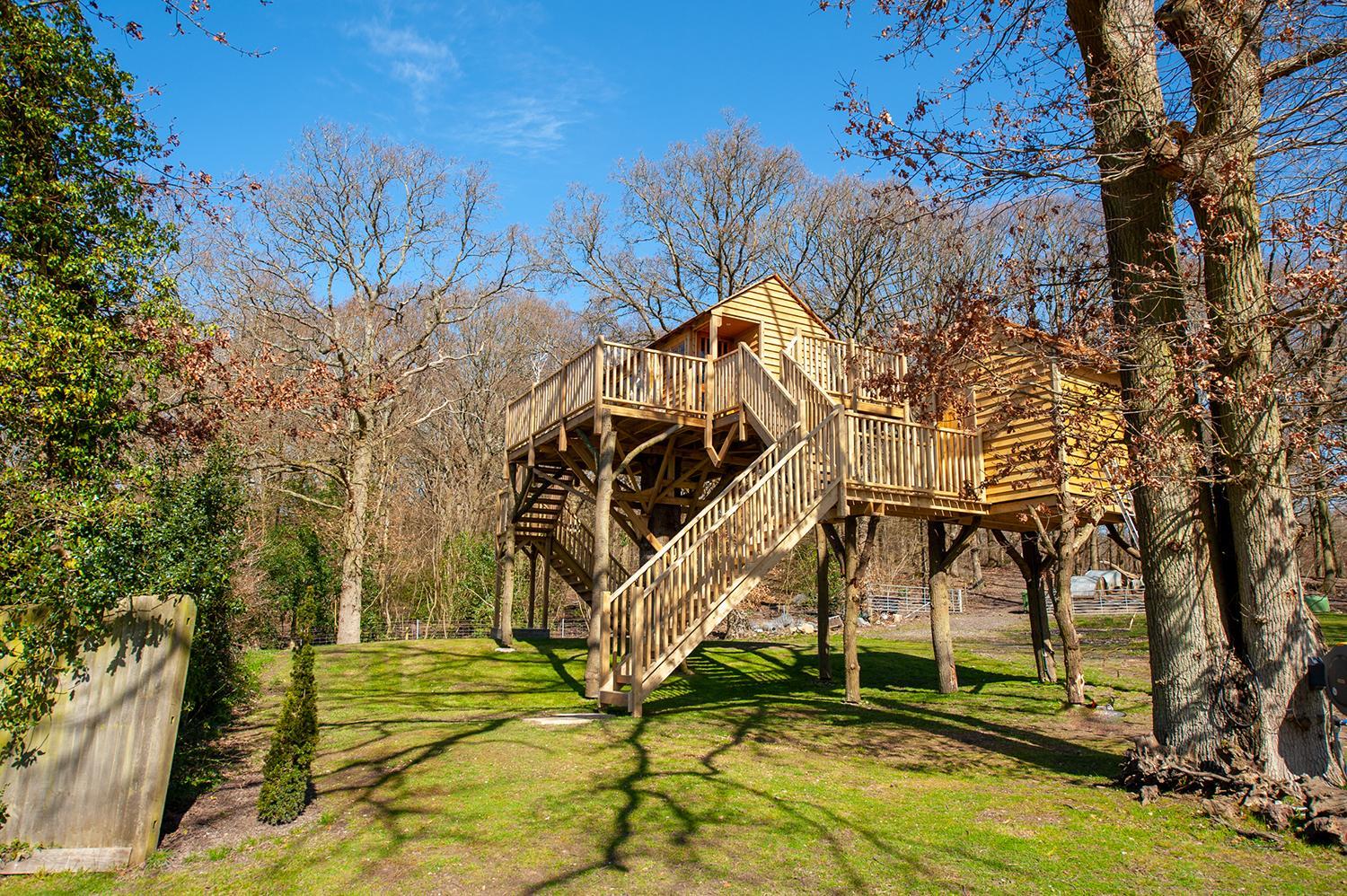 Treehouse - Photo 2