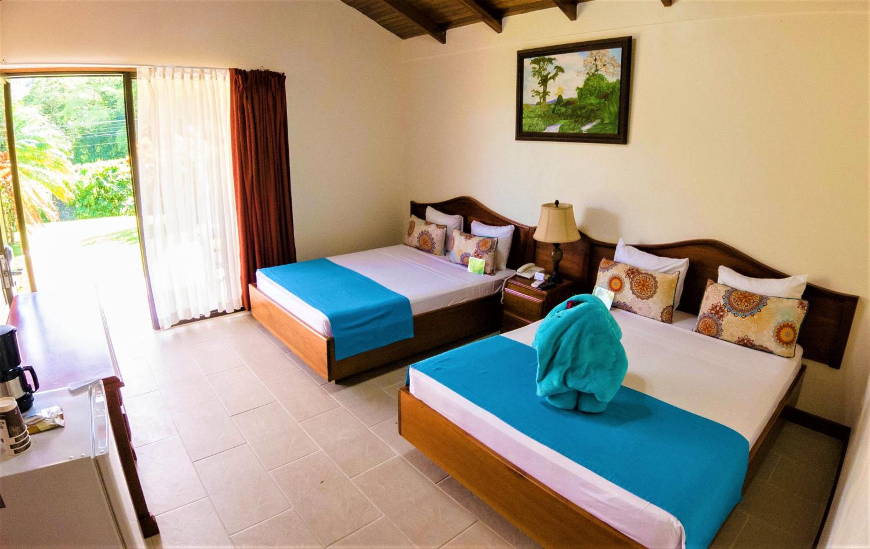 Standard Double Room with Volcano View