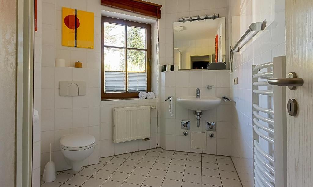 Apartment with Terrace photo 3