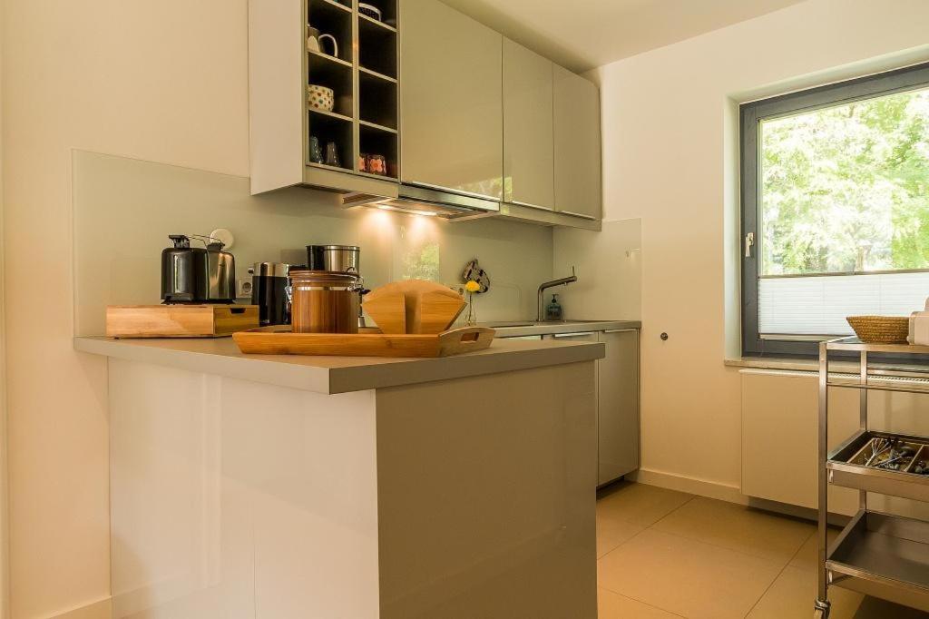 Apartment with Terrace photo 3