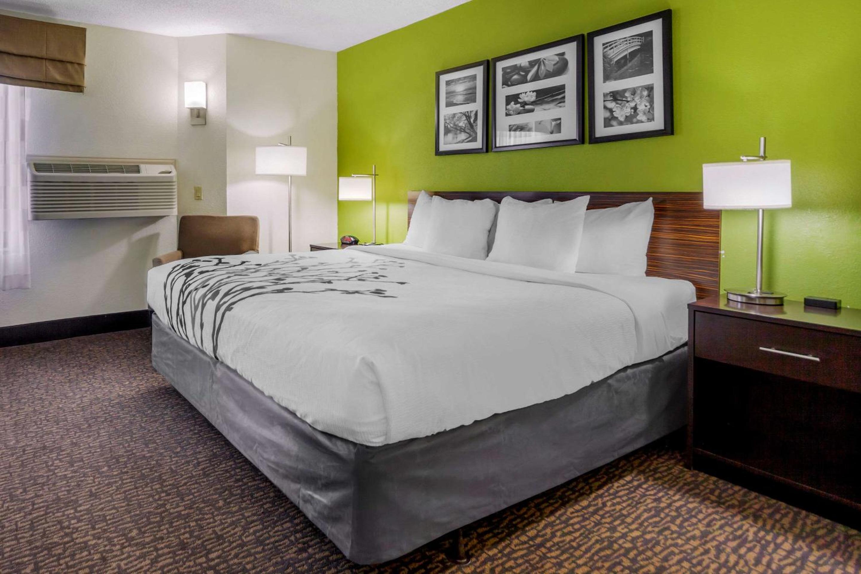 Deluxe King Room - Non-Smoking - Photo 1