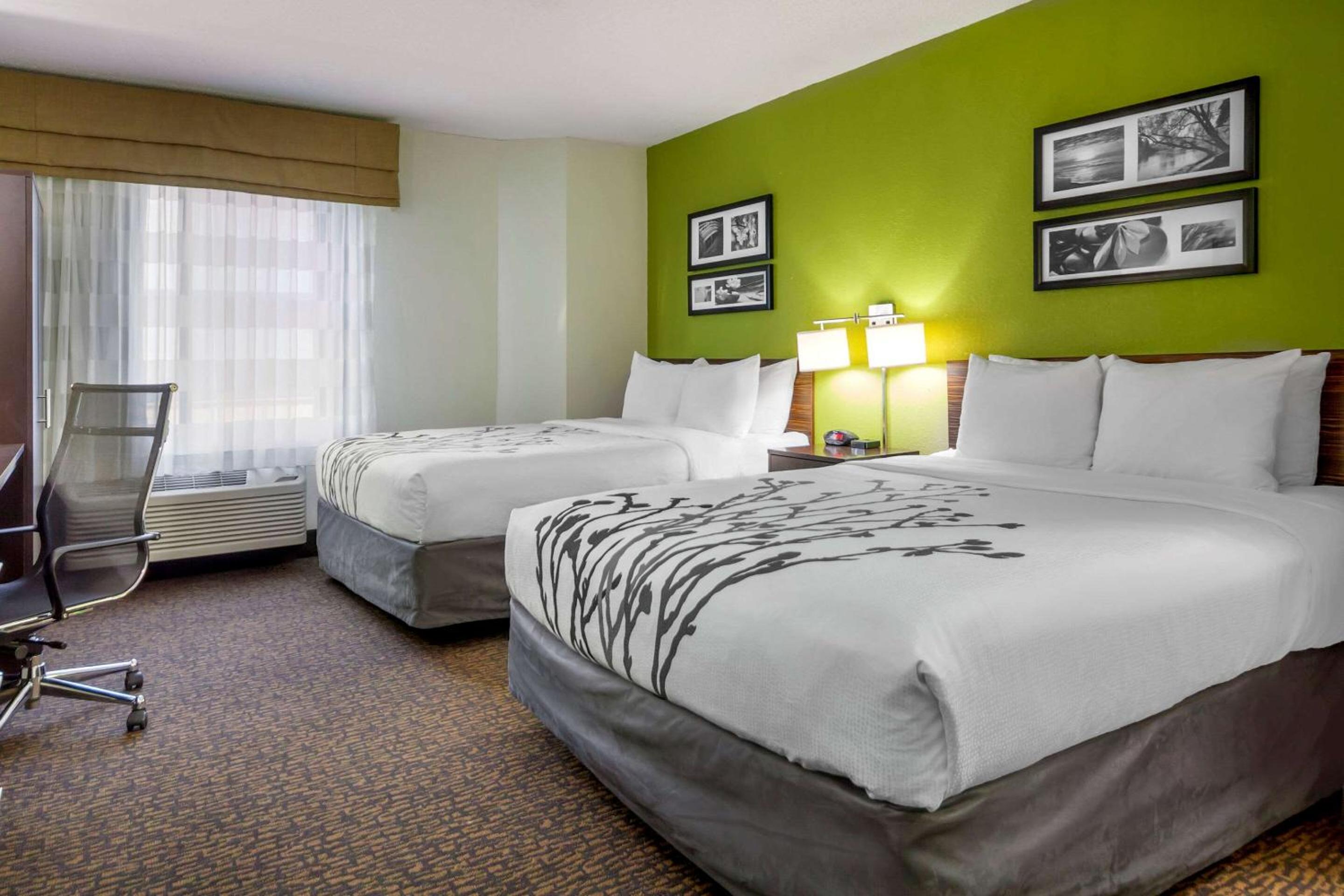 Deluxe Queen Room with Two Queen Beds - Non-Smoking - Photo 1