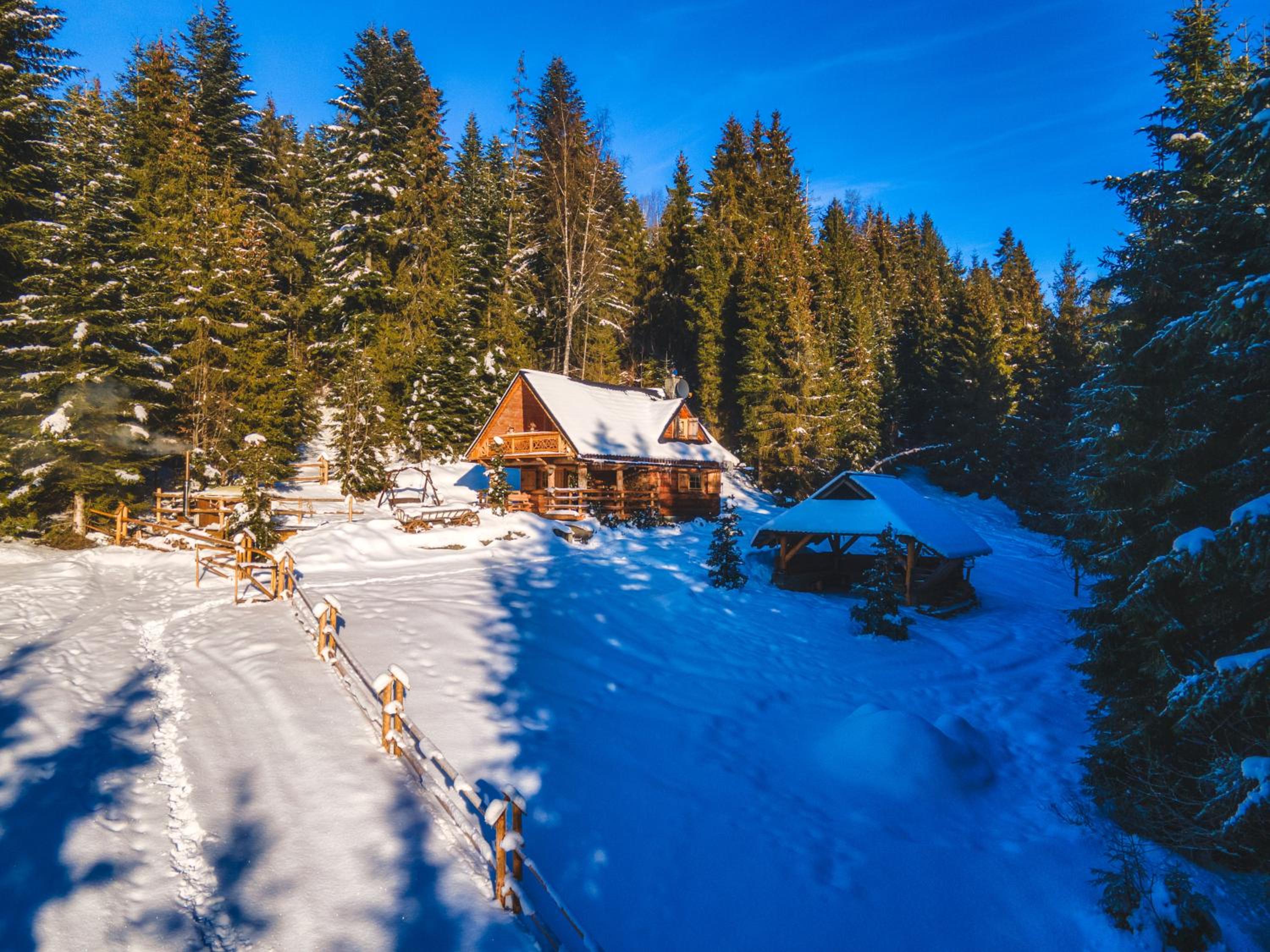 Two-Bedroom Chalet - Photo 9