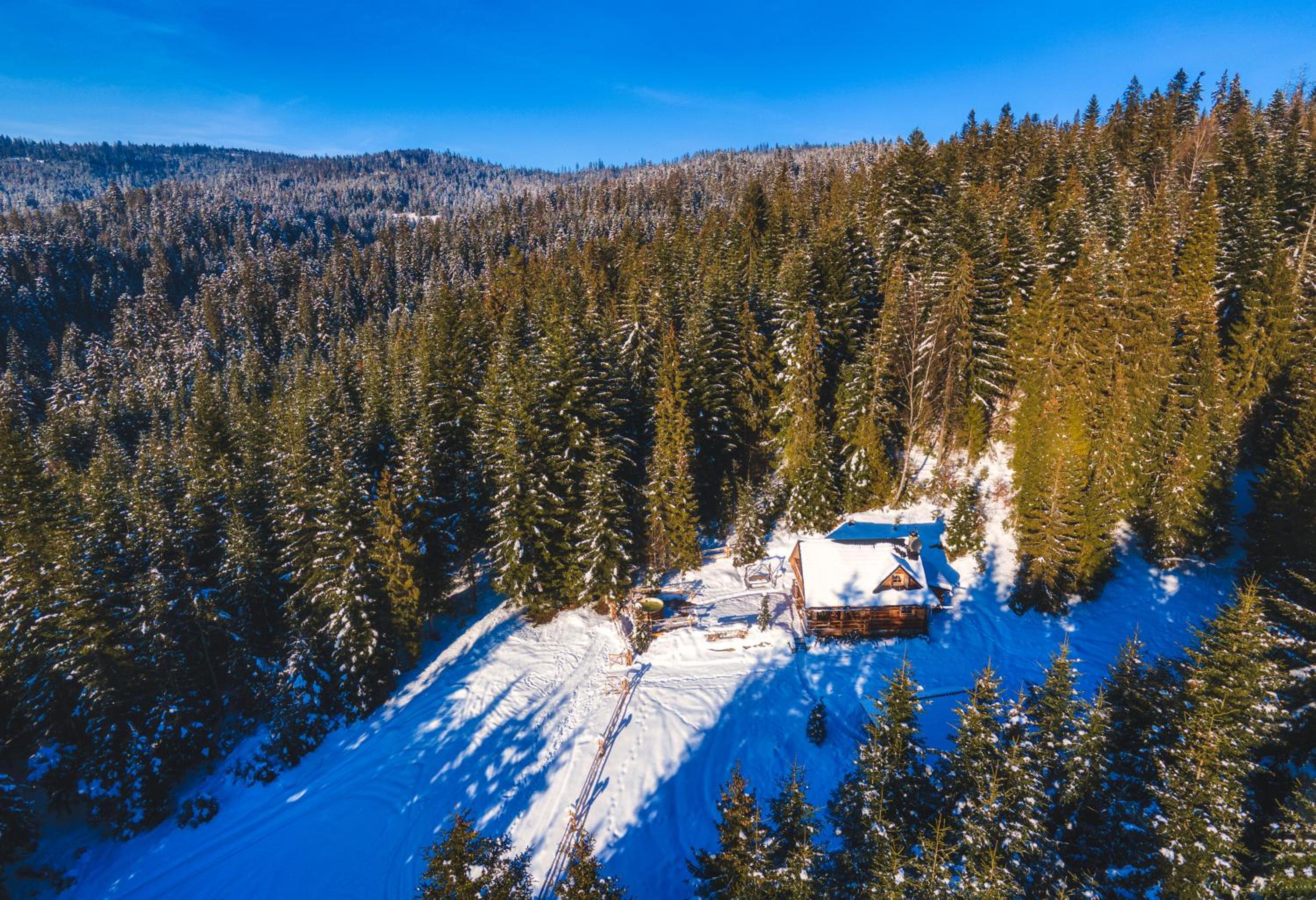 Two-Bedroom Chalet - Photo 108