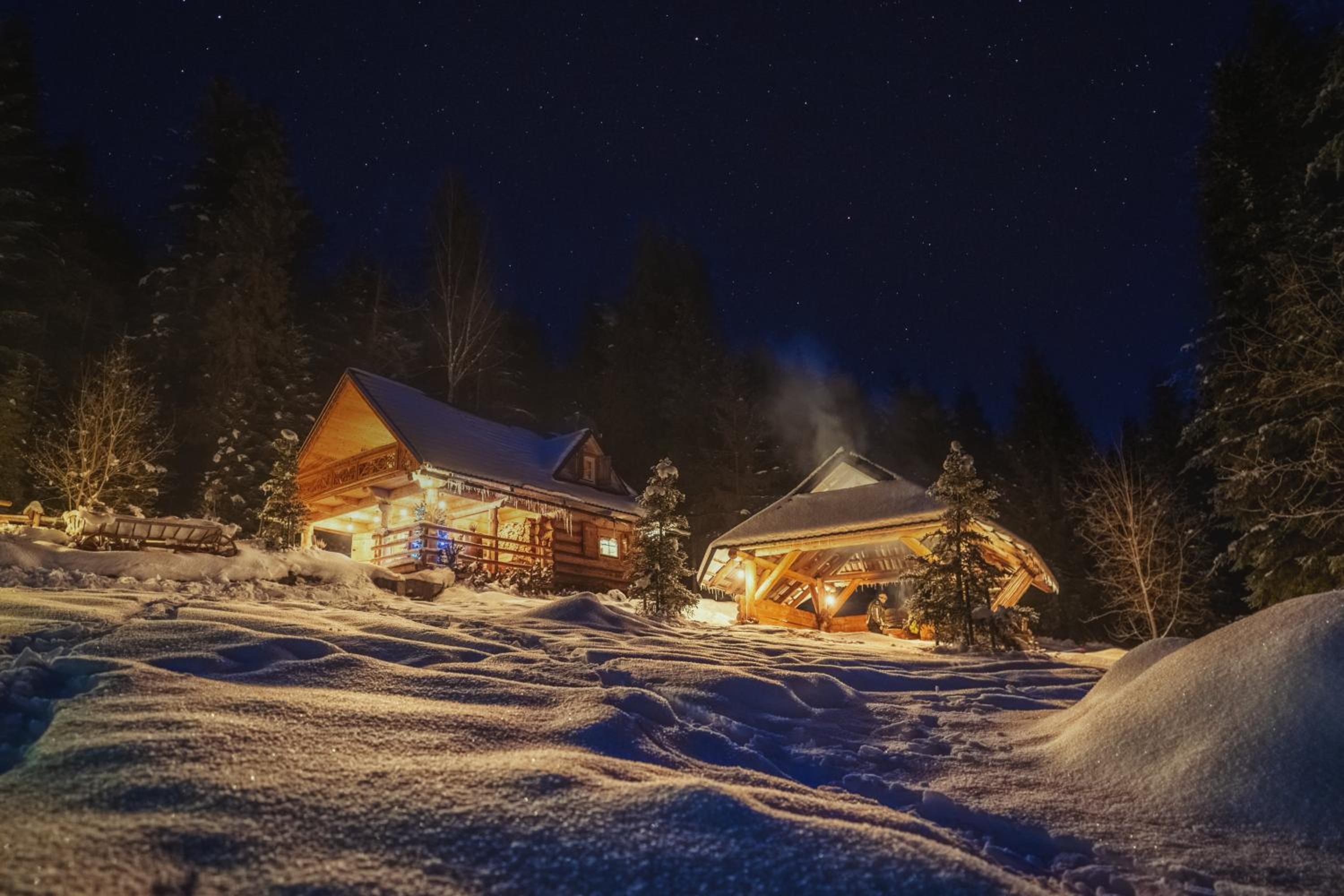 Two-Bedroom Chalet - Photo 76