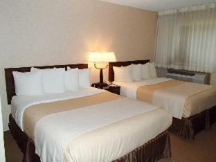 One Room Suite with Whirlpool - Non Smoking photo 2