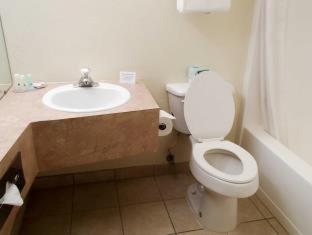 One Room Suite with Whirlpool - Non Smoking photo 3