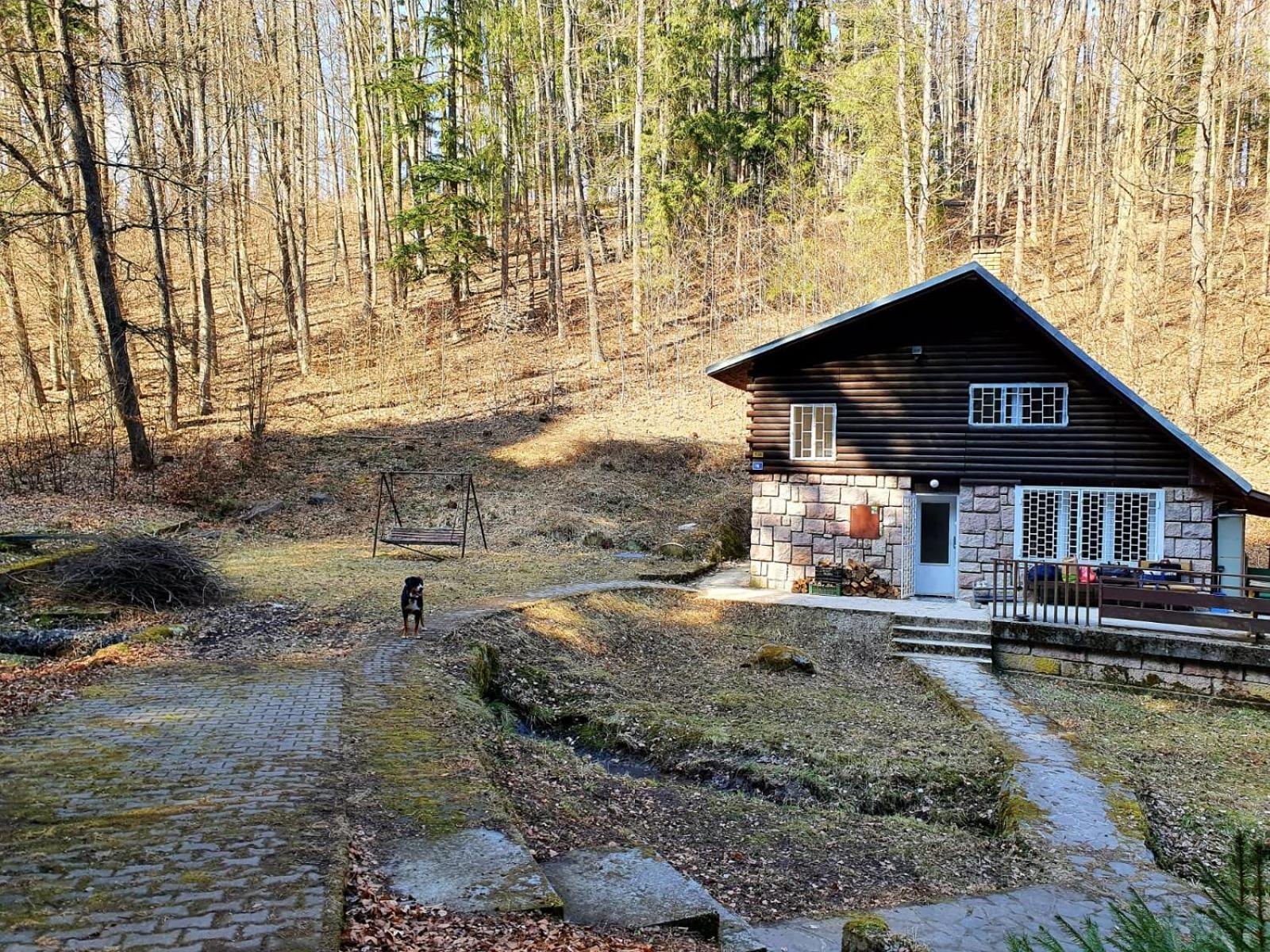Two-Bedroom Chalet photo 1