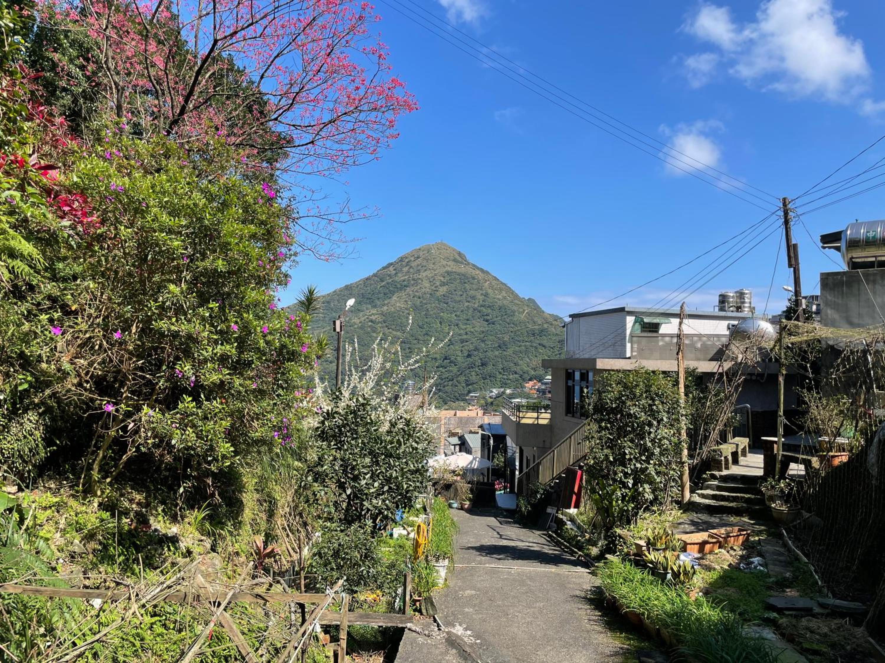 Quadruple Room with Mountain View photo 3
