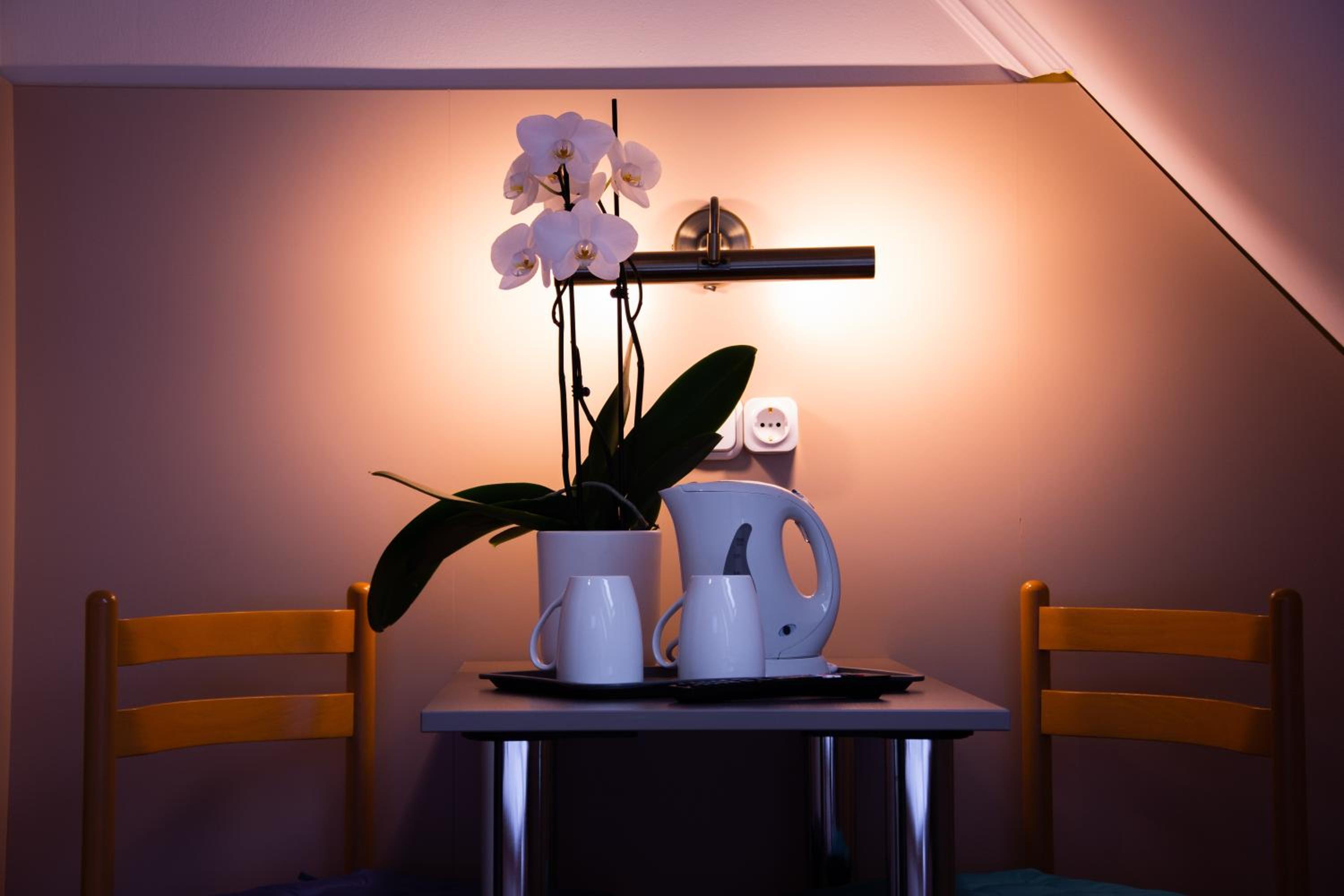 Superior Queen Room - Photo 8