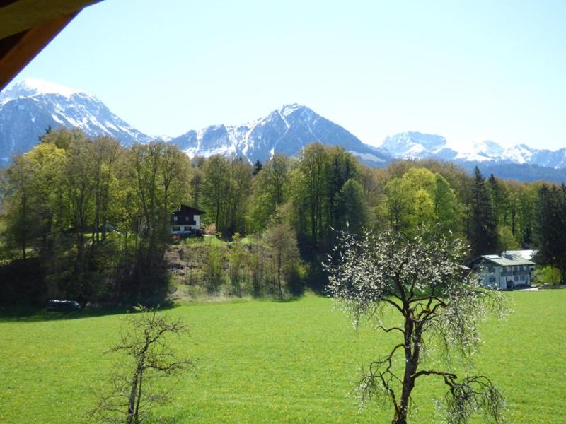 Apartment with Mountain View photo 3