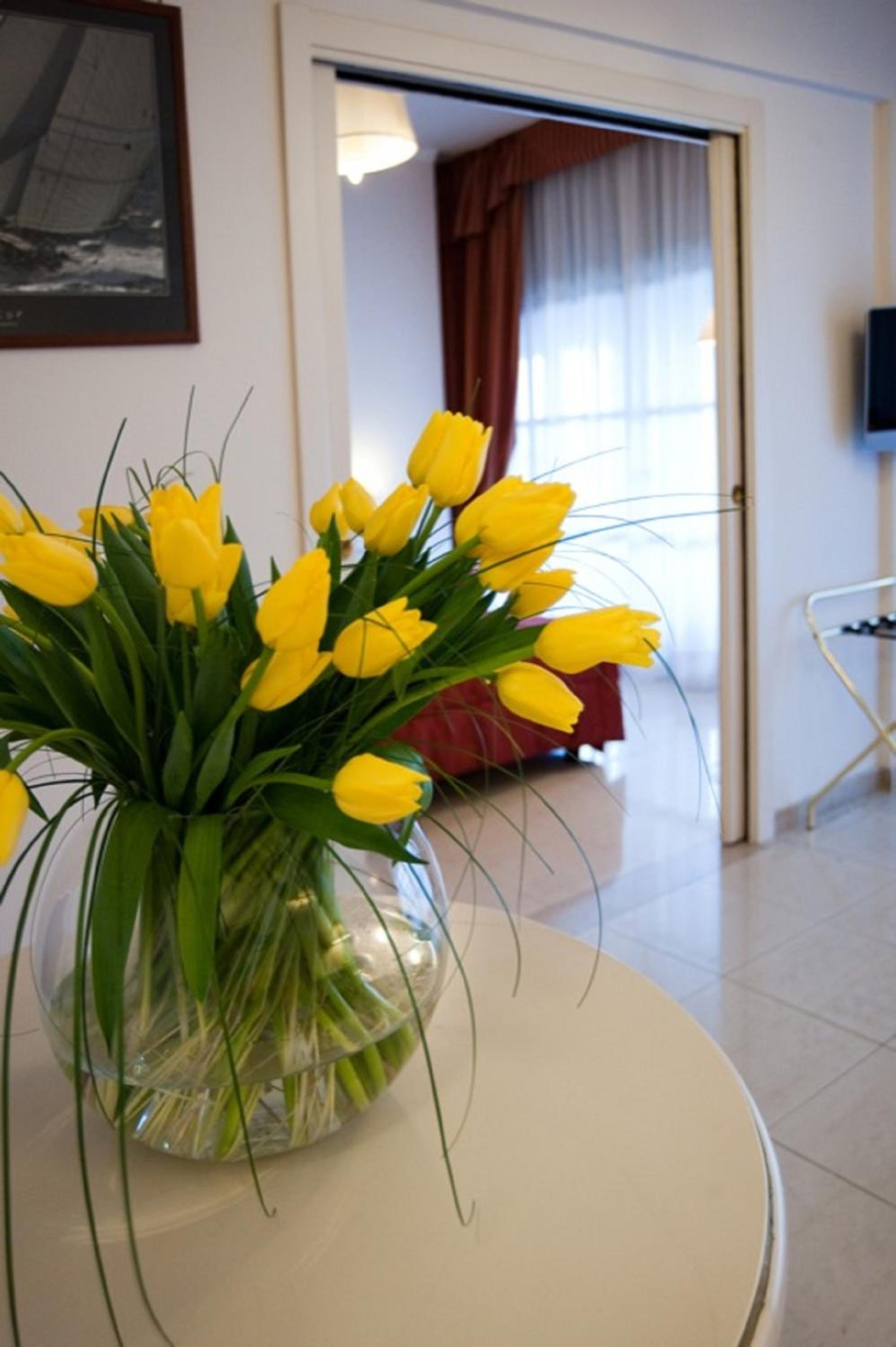 Suite - Photo 7