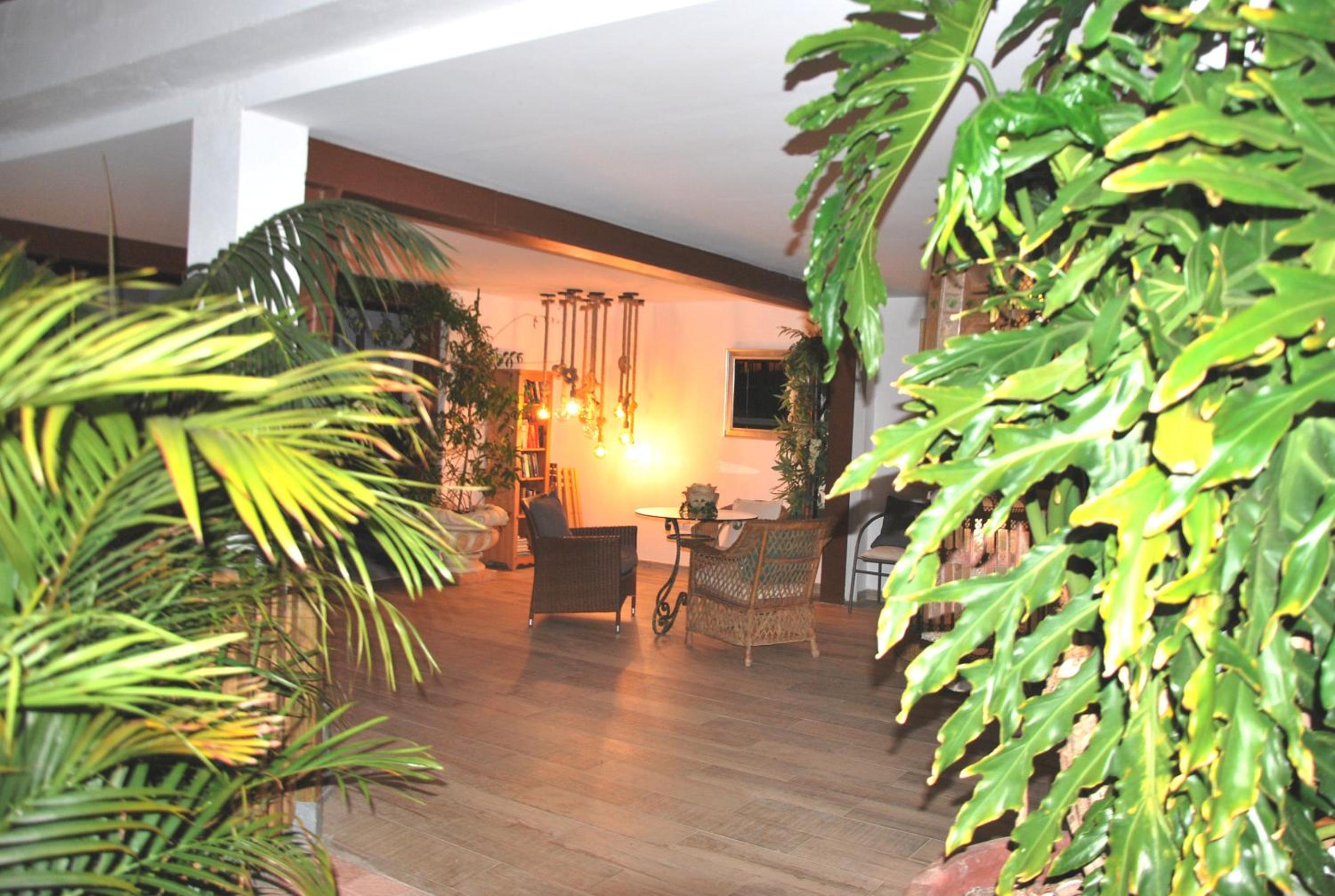 Penthouse Apartment photo 3