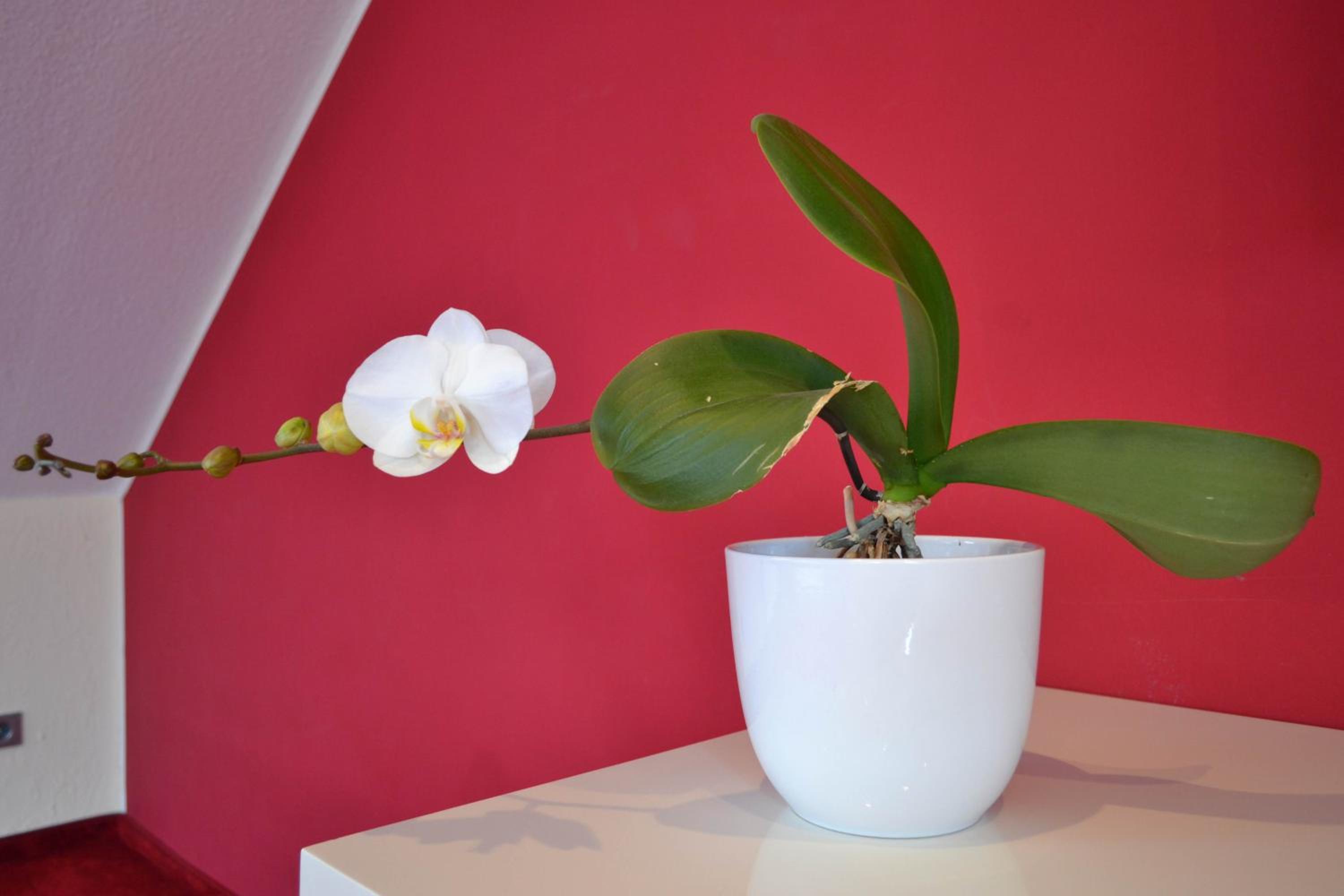 Studio Loft photo 3