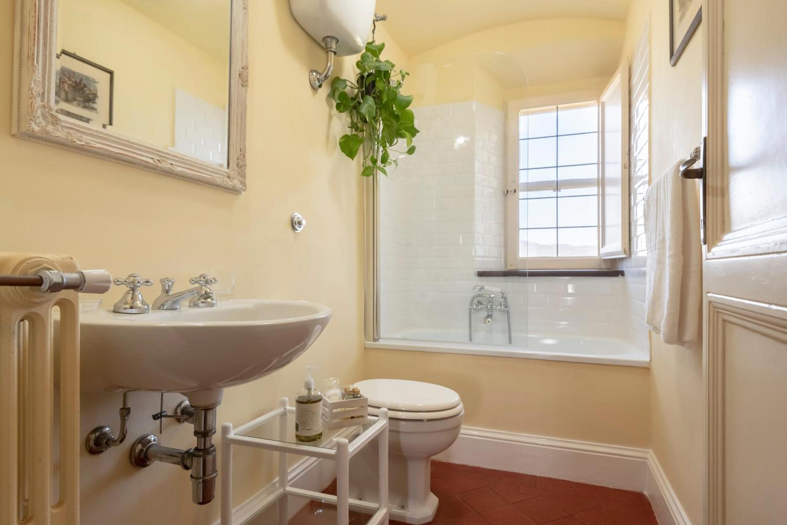 Superior Single Room photo 2