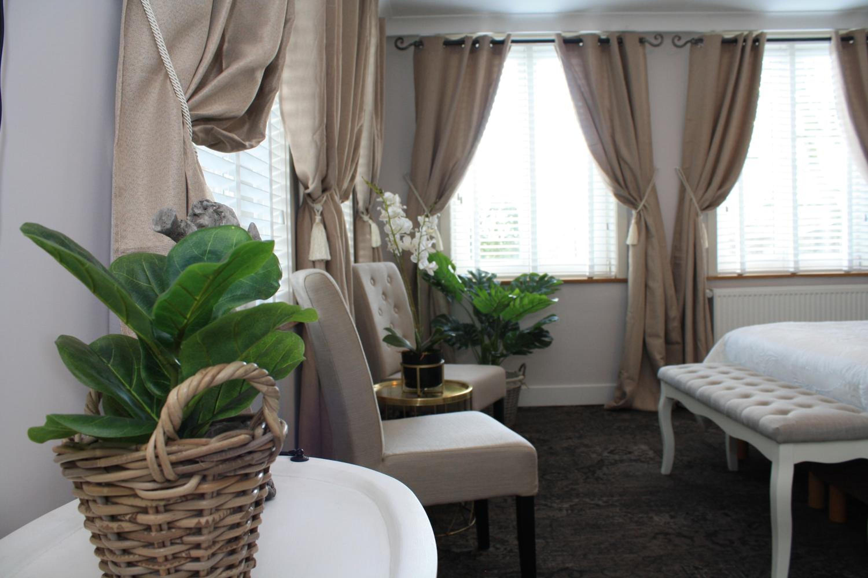 Deluxe Double or Twin Room, photo 7