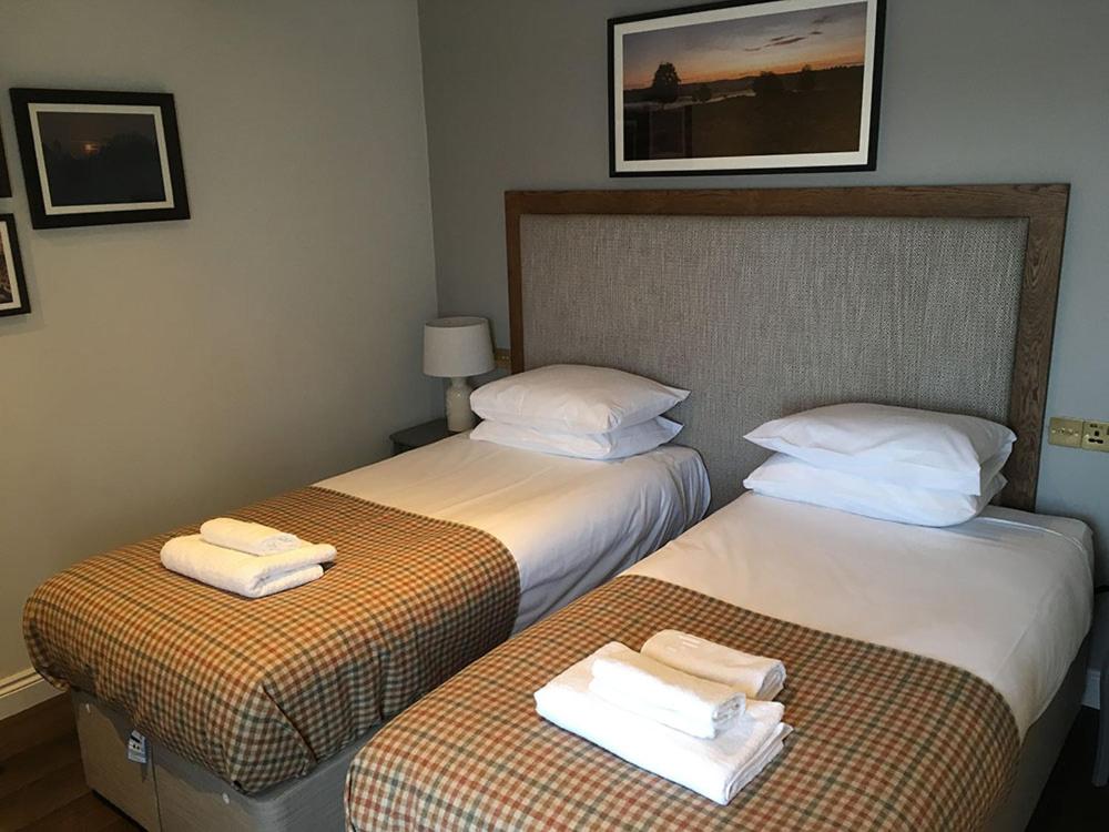 Superior Twin Room photo 2