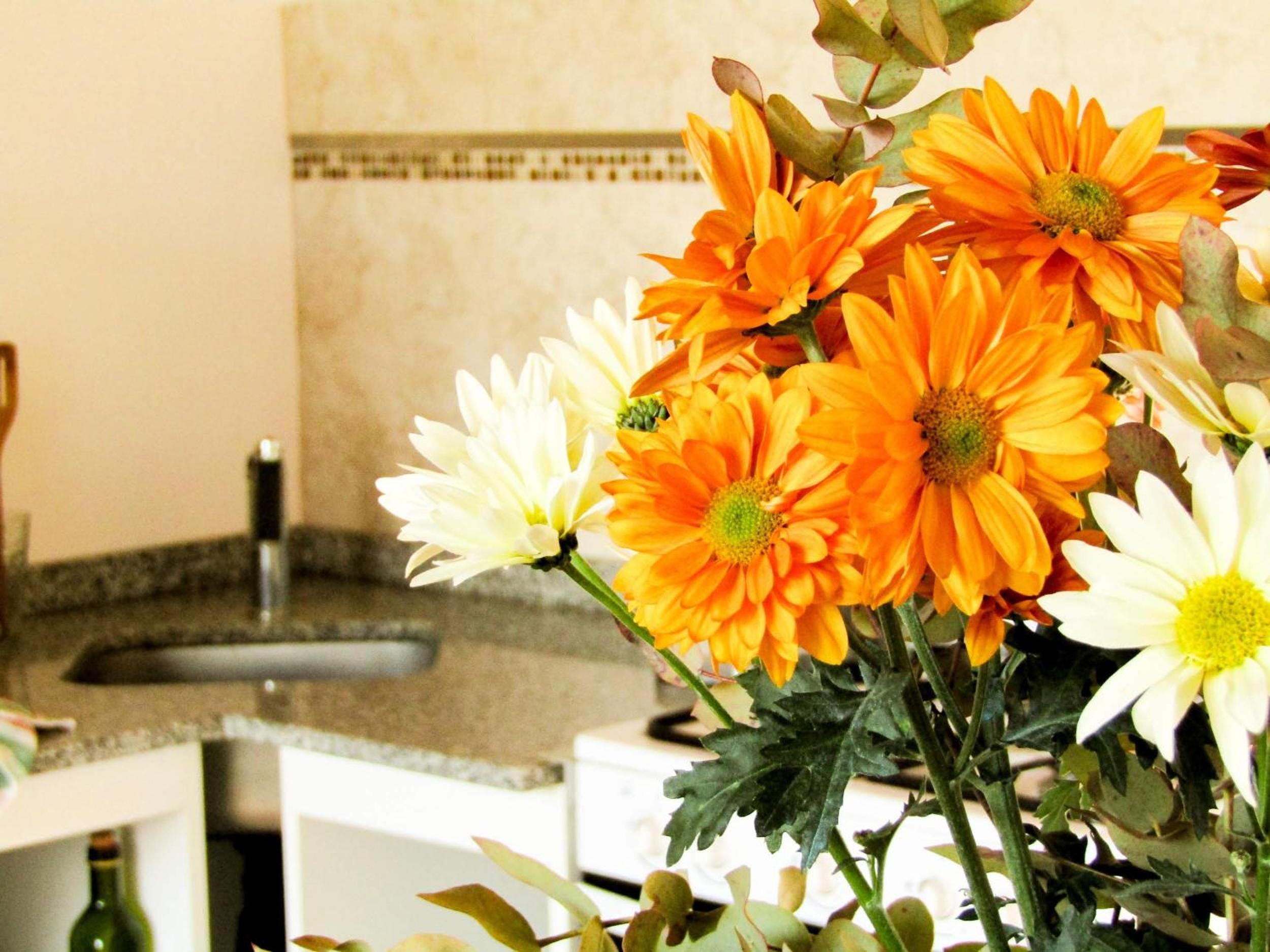 Maisonette photo 2