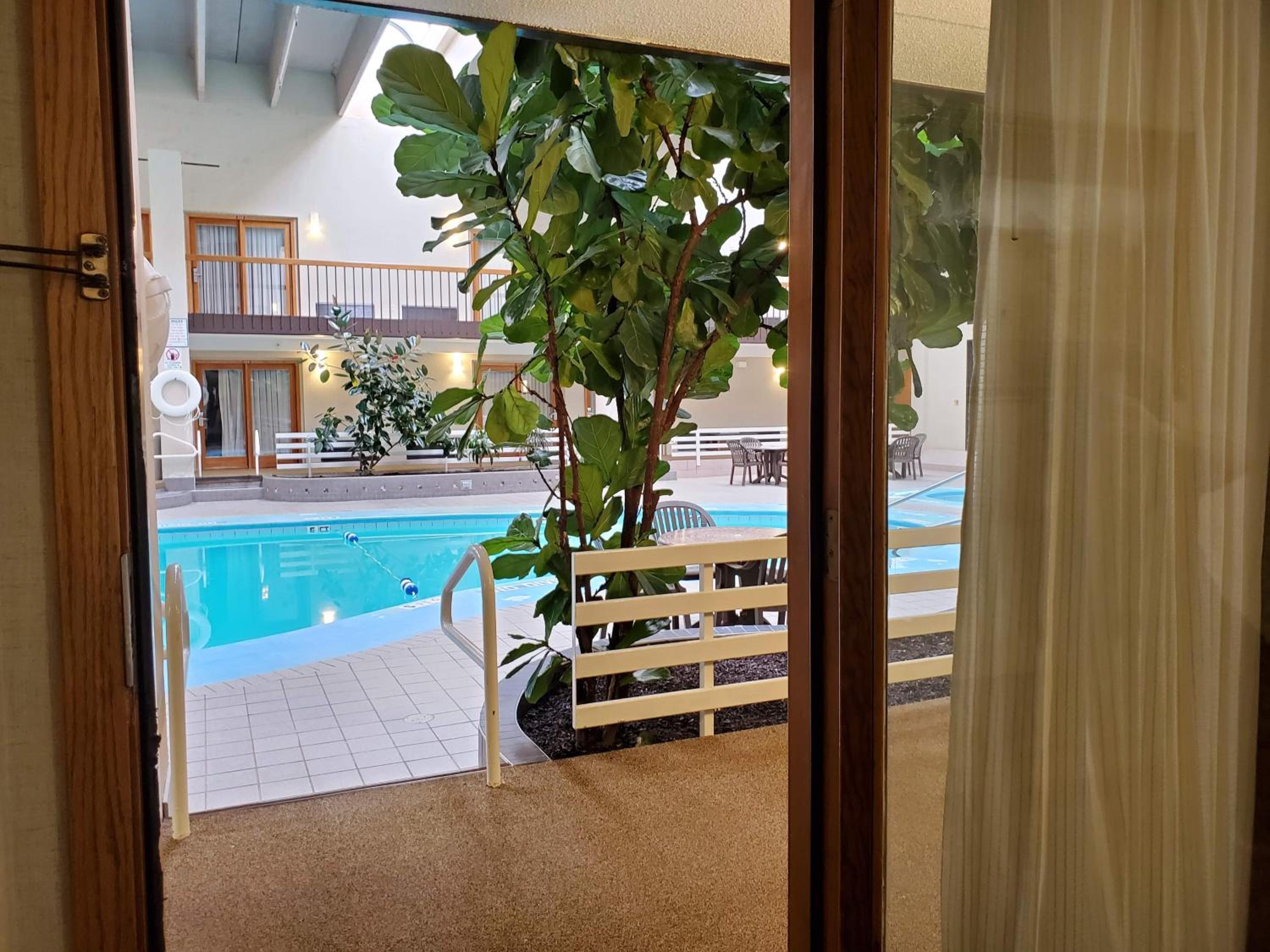 Lower Floor Queen Room - Pool Side photo 3
