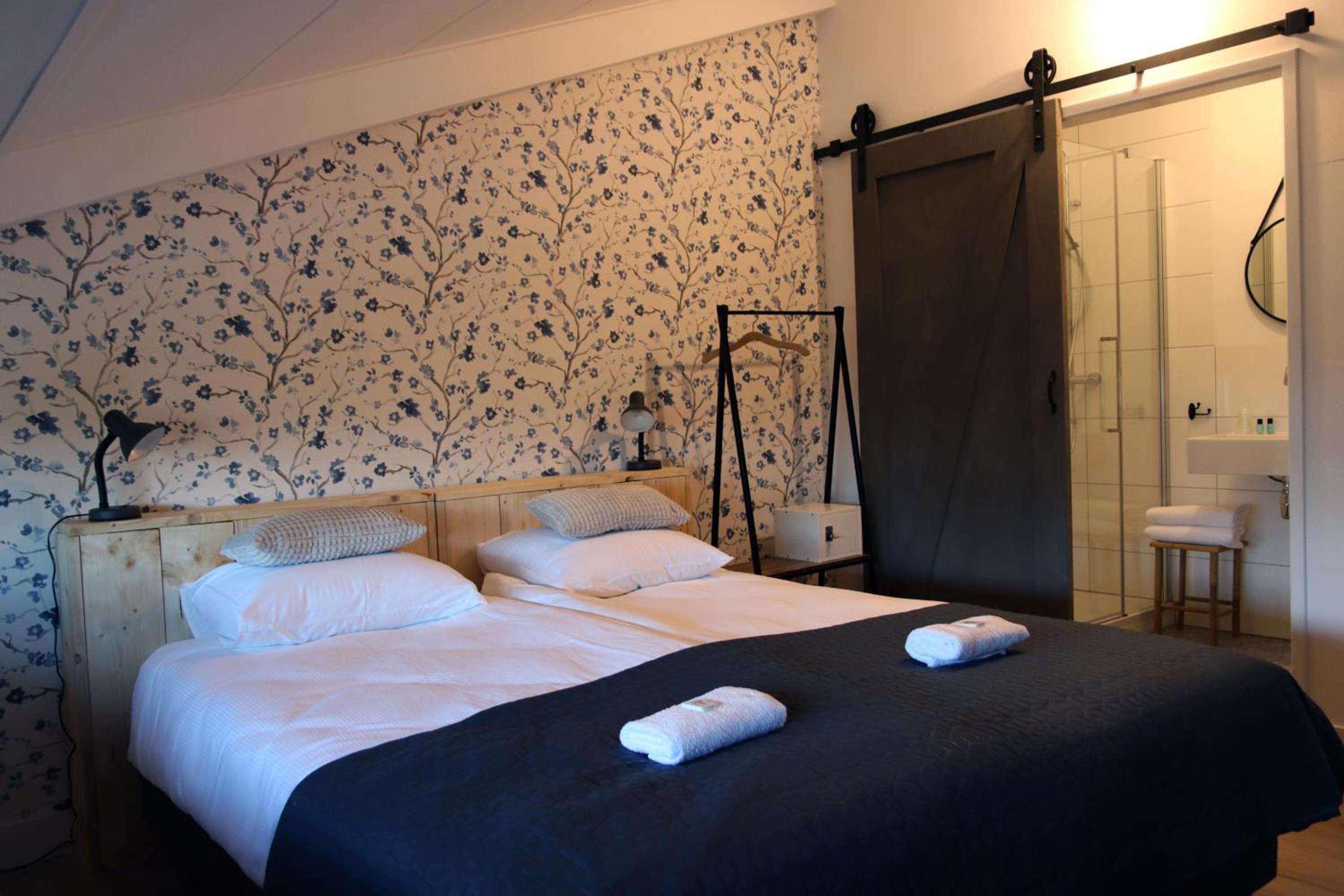 Deluxe Double or Twin Room photo 1