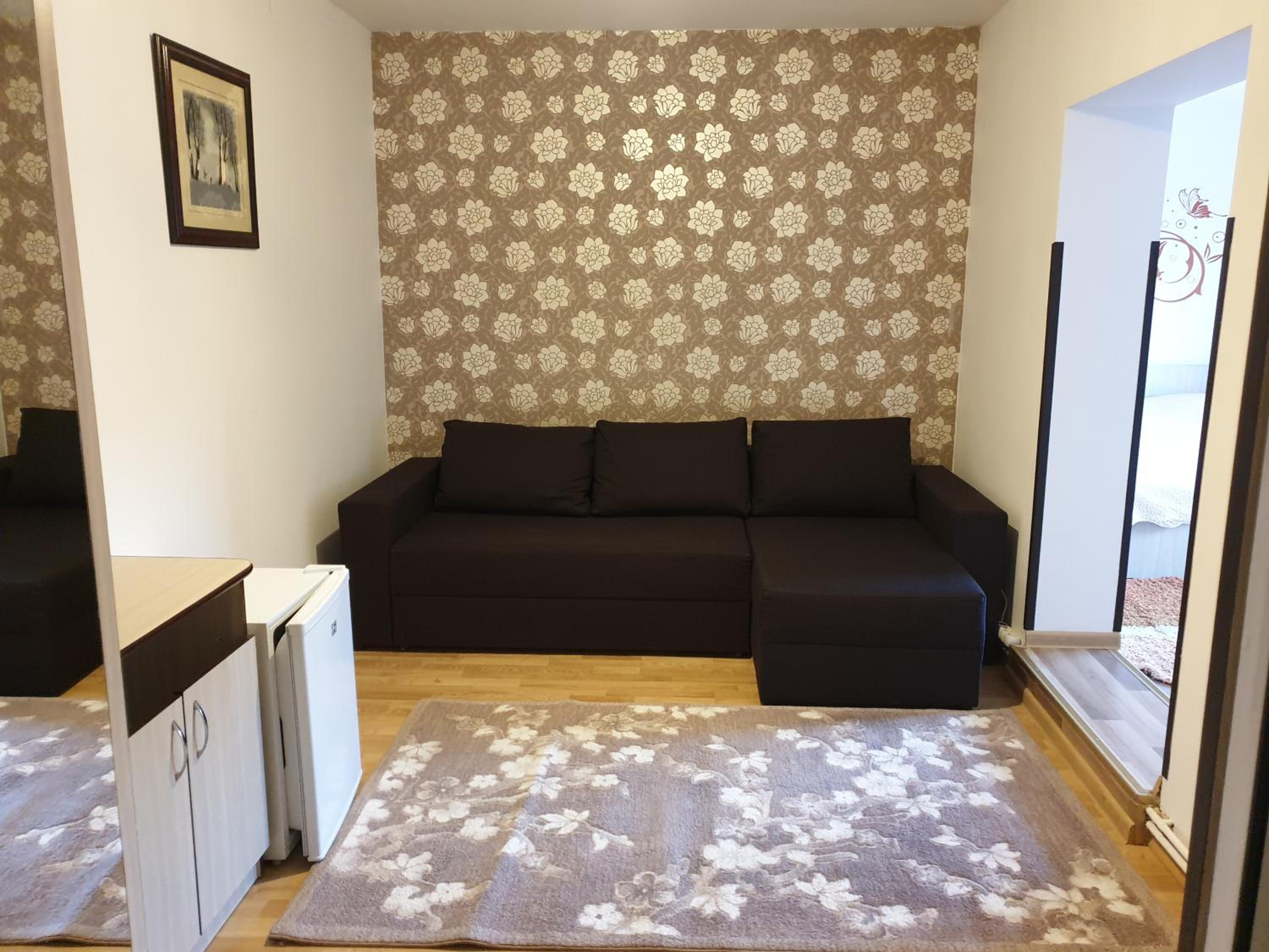 Studio with Sofa Bed photo 3