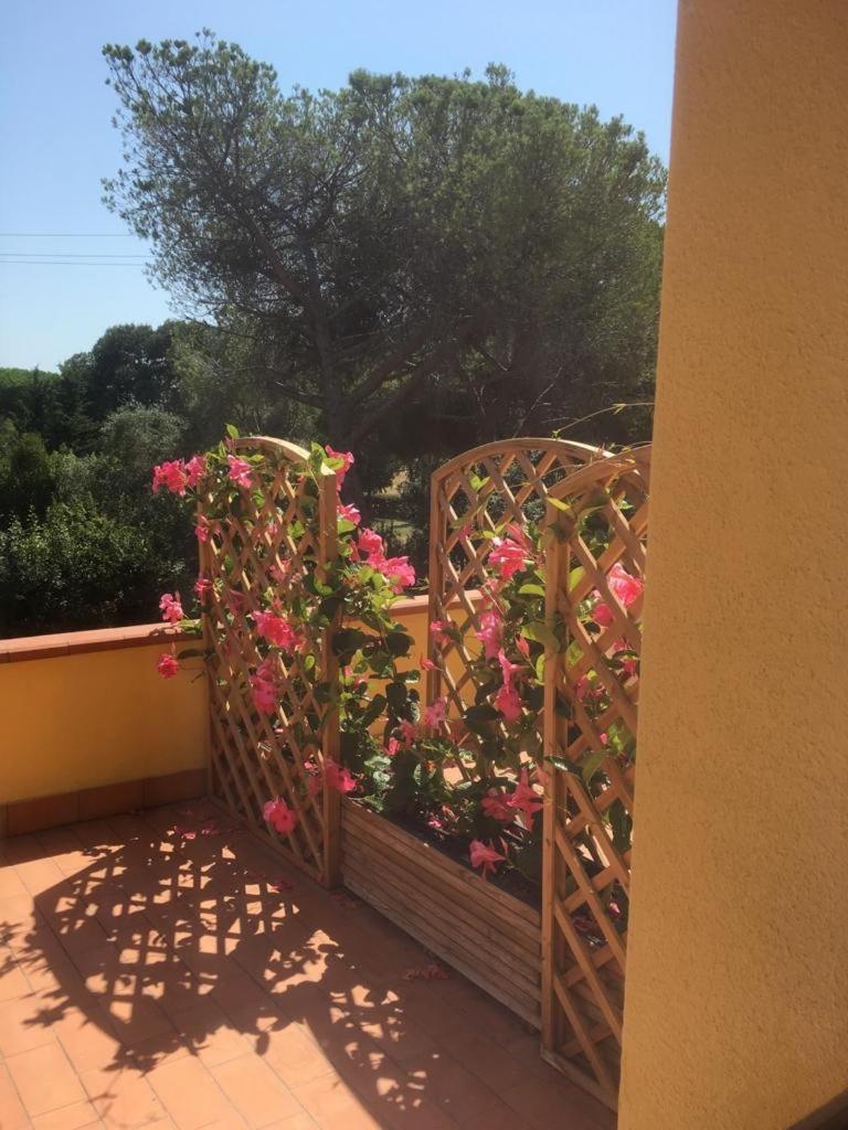 Standard Apartment with Terrace photo 2