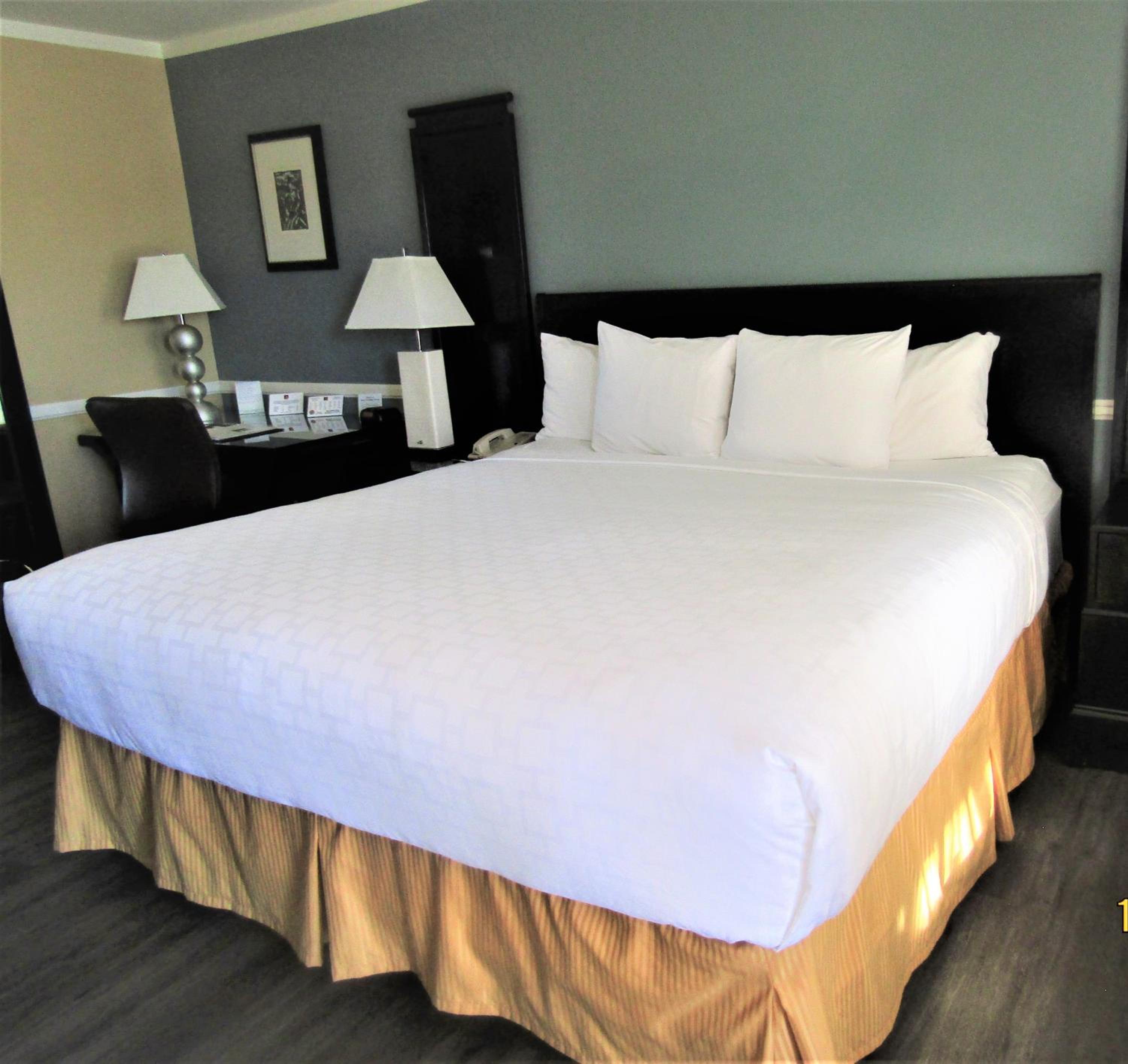 Standard King Room - Photo 2