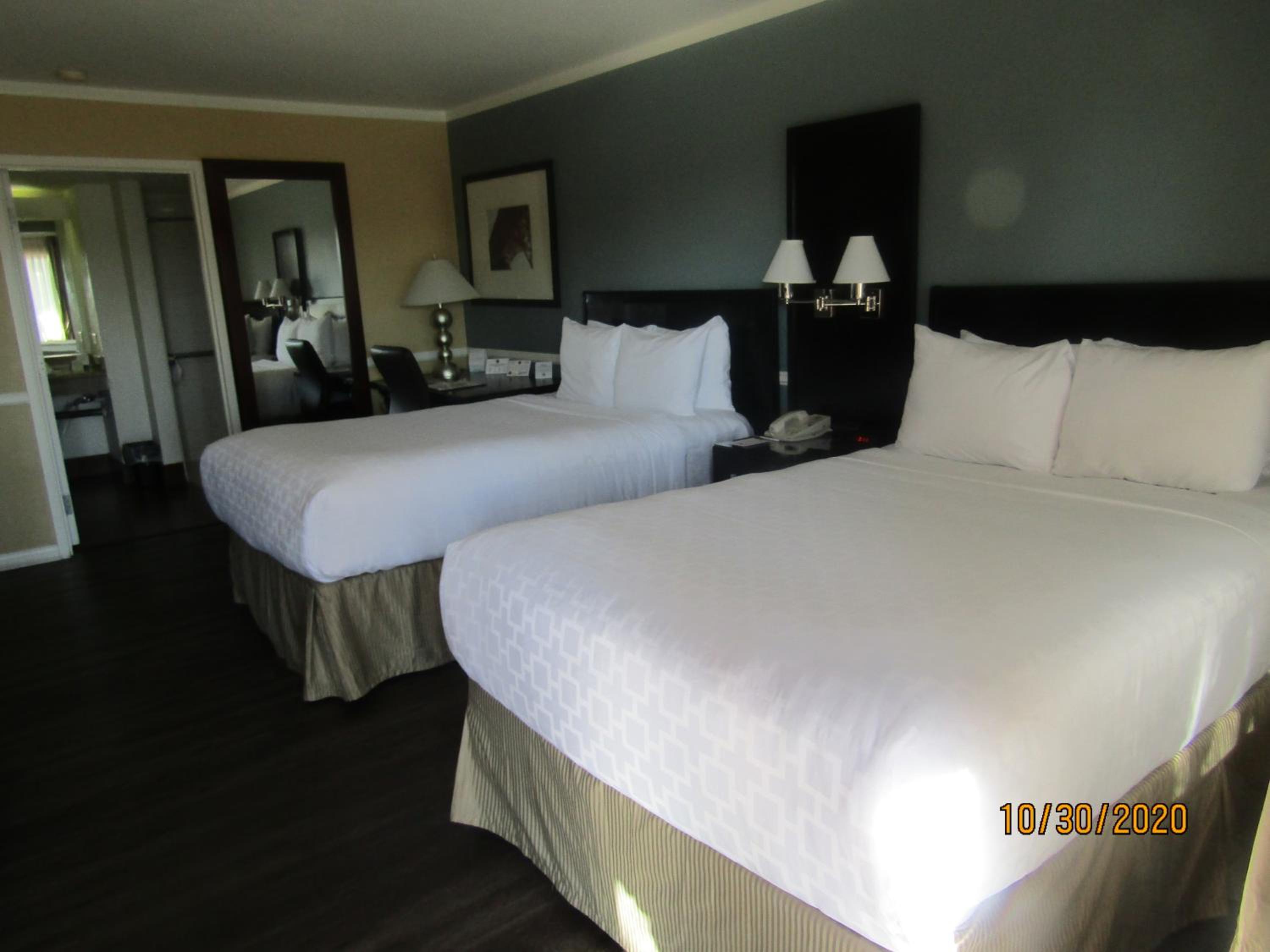 Standard Double Room with Two Double Beds - Photo 1