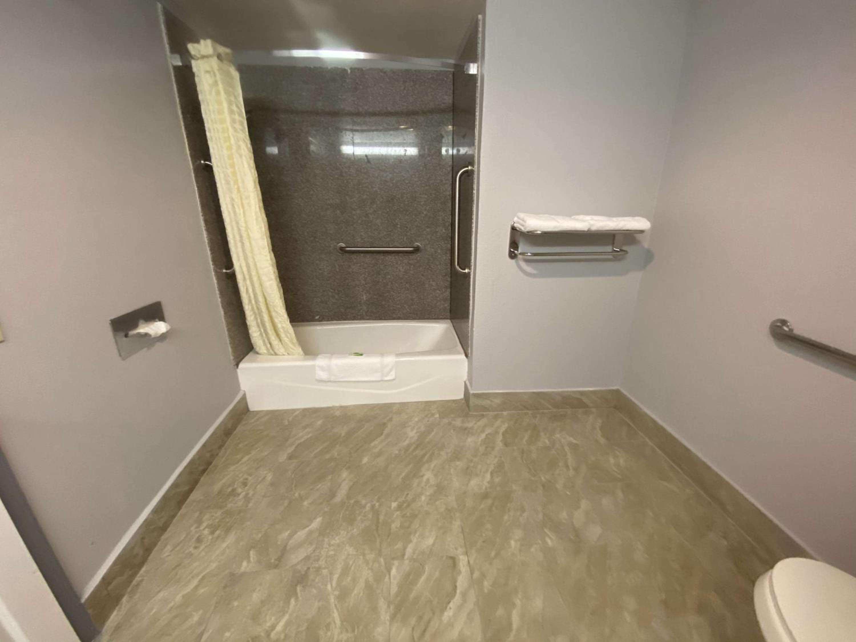 King Suite with Bath Tub and Separate Living Area - Disability Access/Non-Smoking - Photo 4