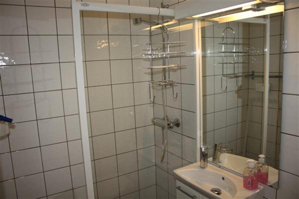 Standard One-Bedroom Apartment photo 1