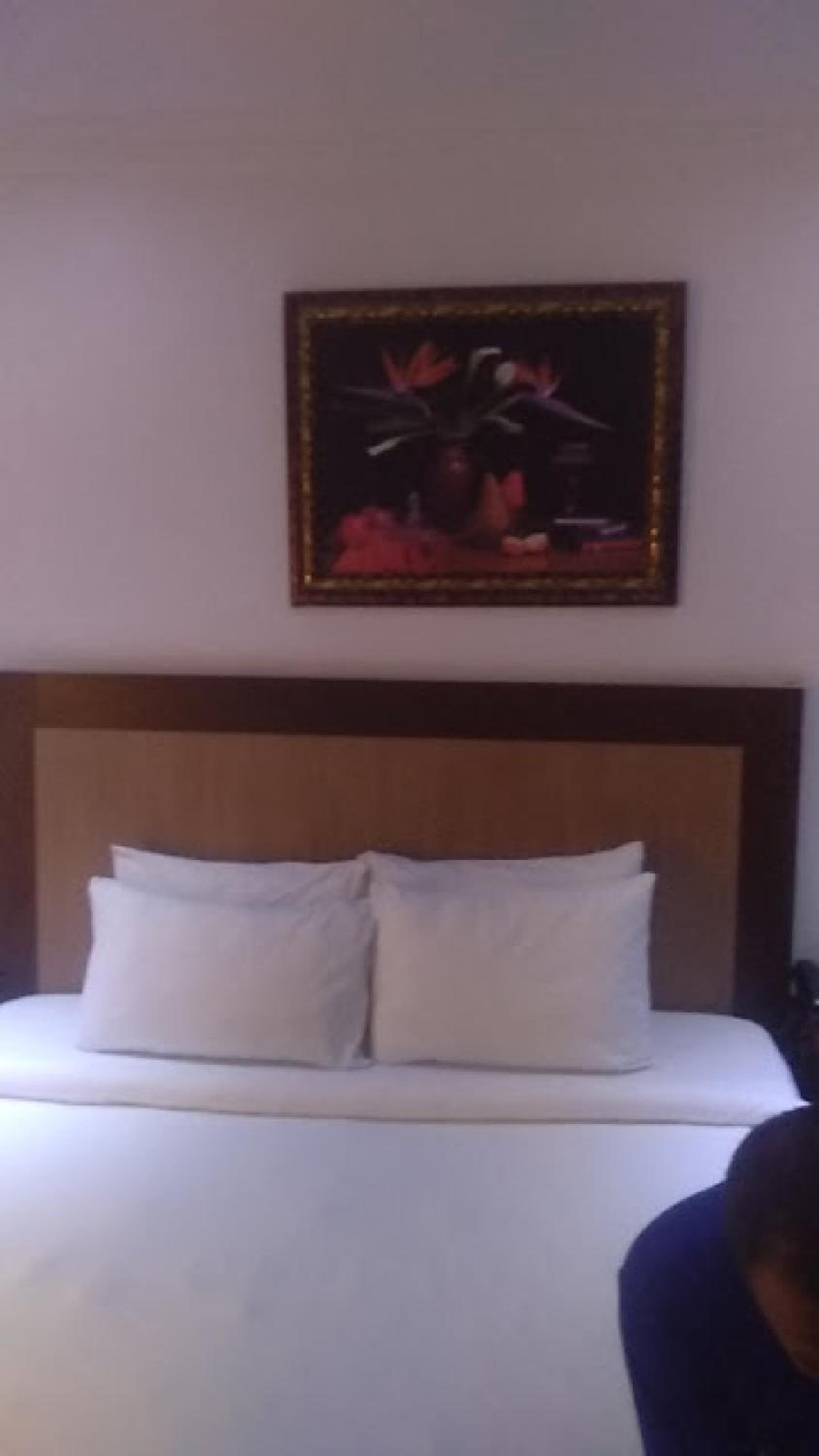Double or Twin Room - Photo 5
