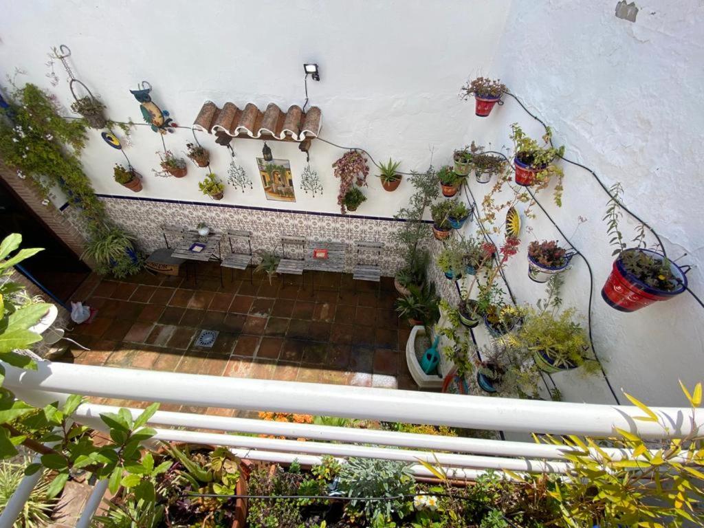 Superior Apartment - Photo 35