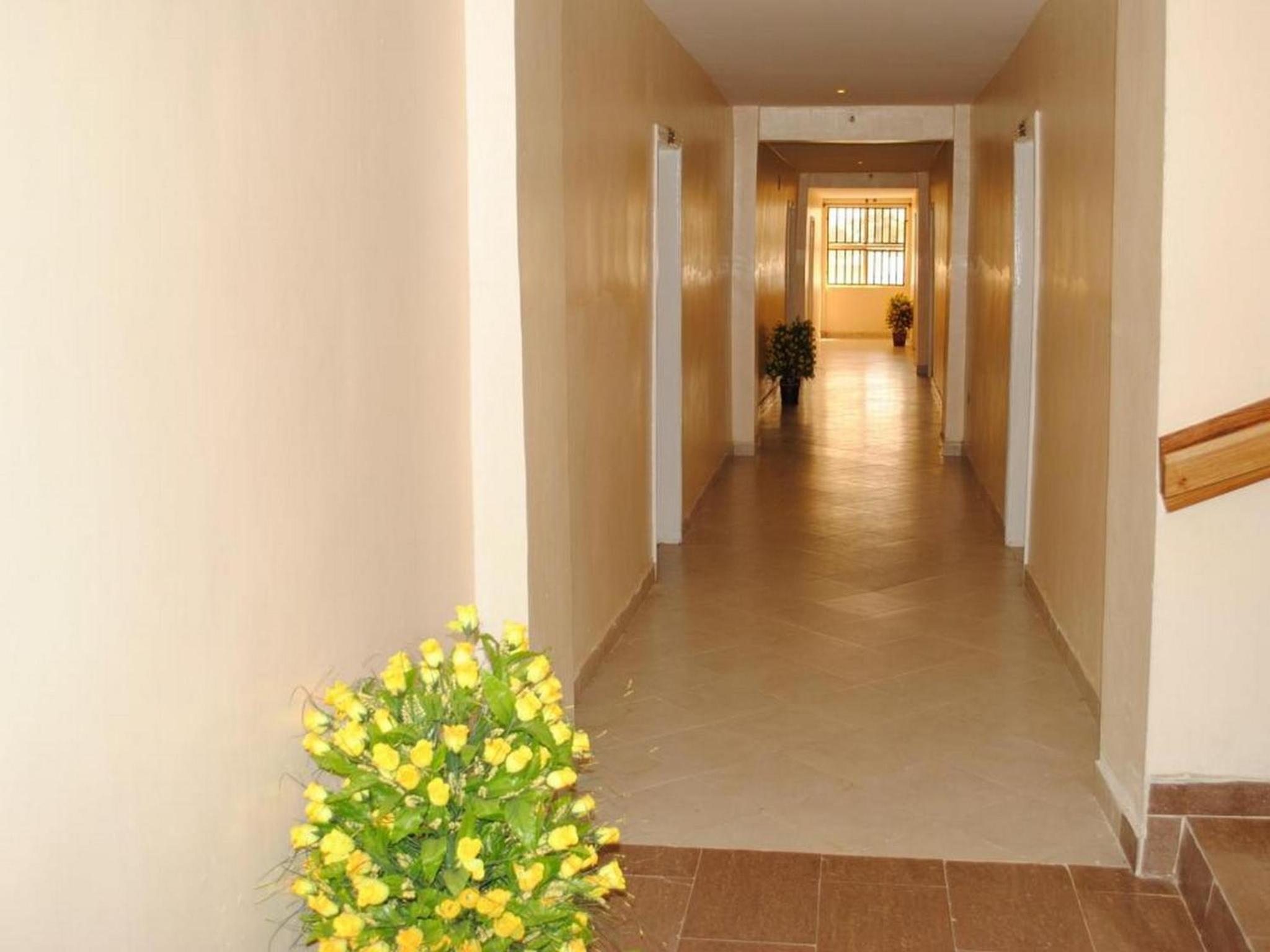 Double or Twin Room photo 3