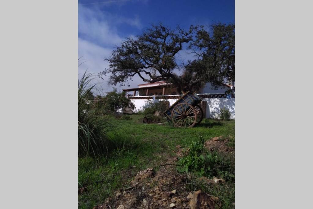 Chalet - Photo 31