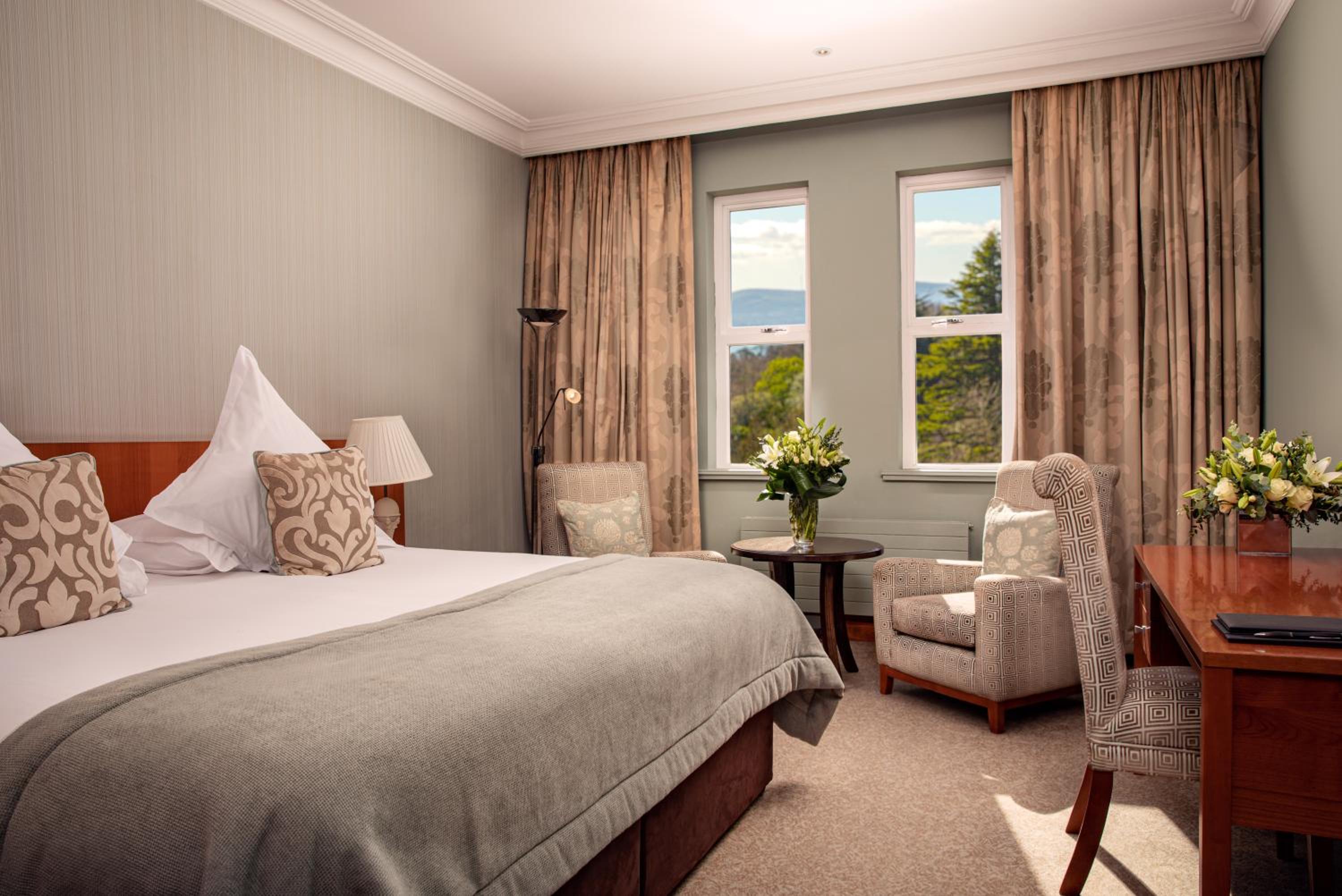 Deluxe King Room - Photo 4