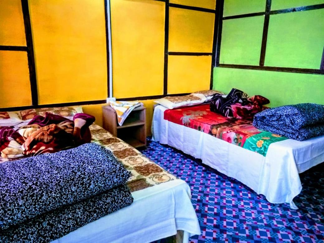 Quadruple Room - Photo 13