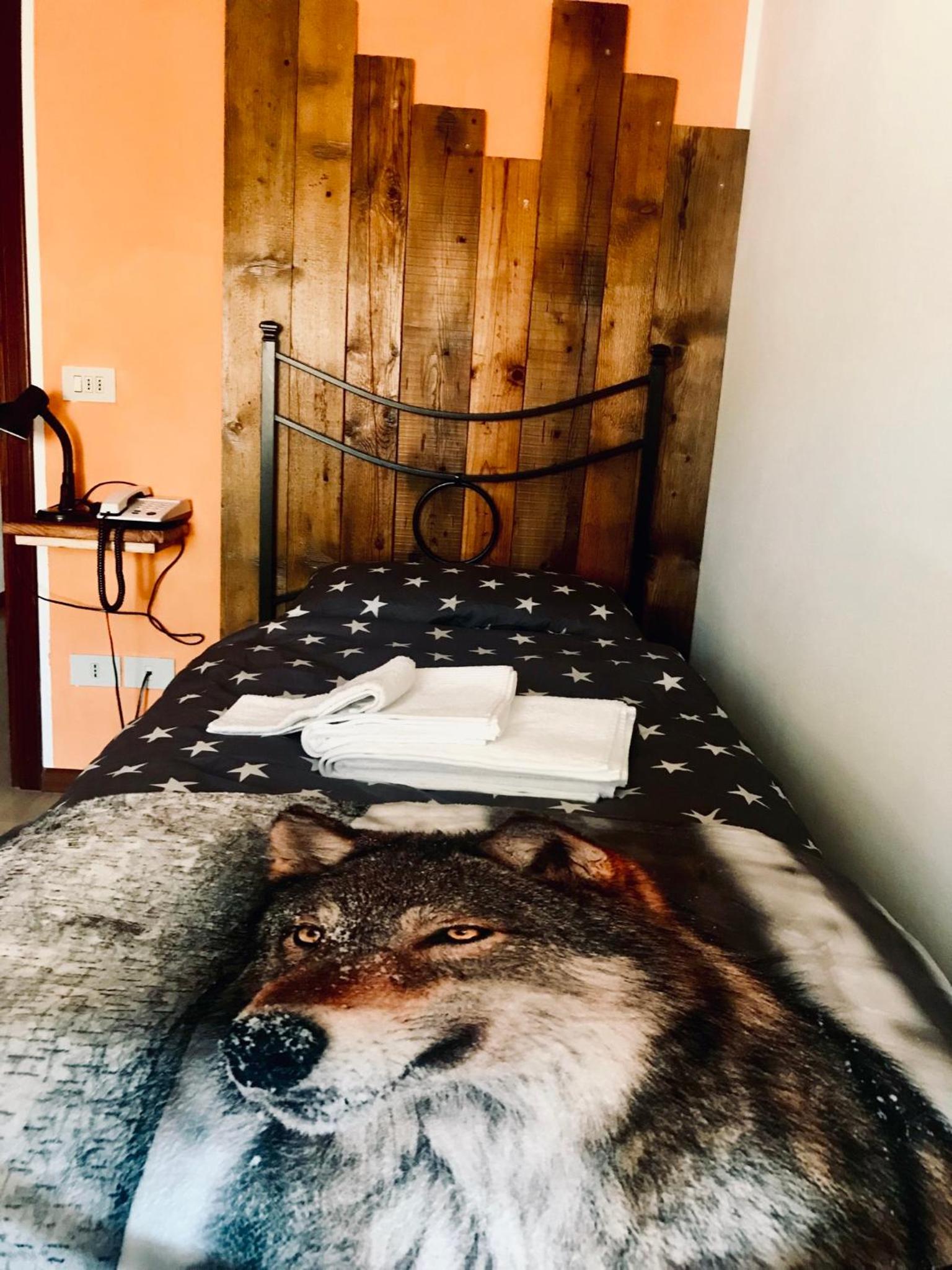 Deluxe Single Room photo 2
