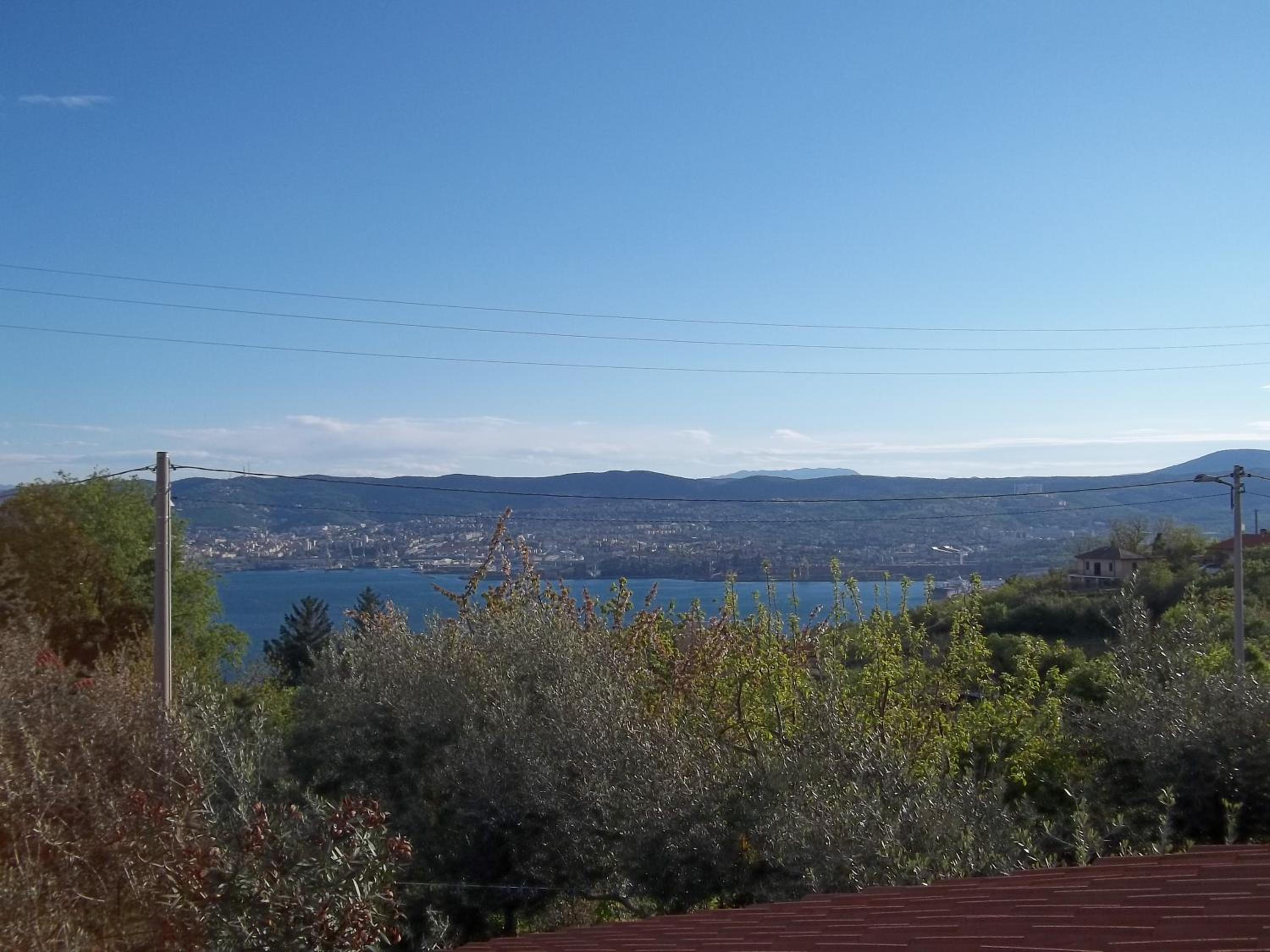 Double Room with Balcony photo 2