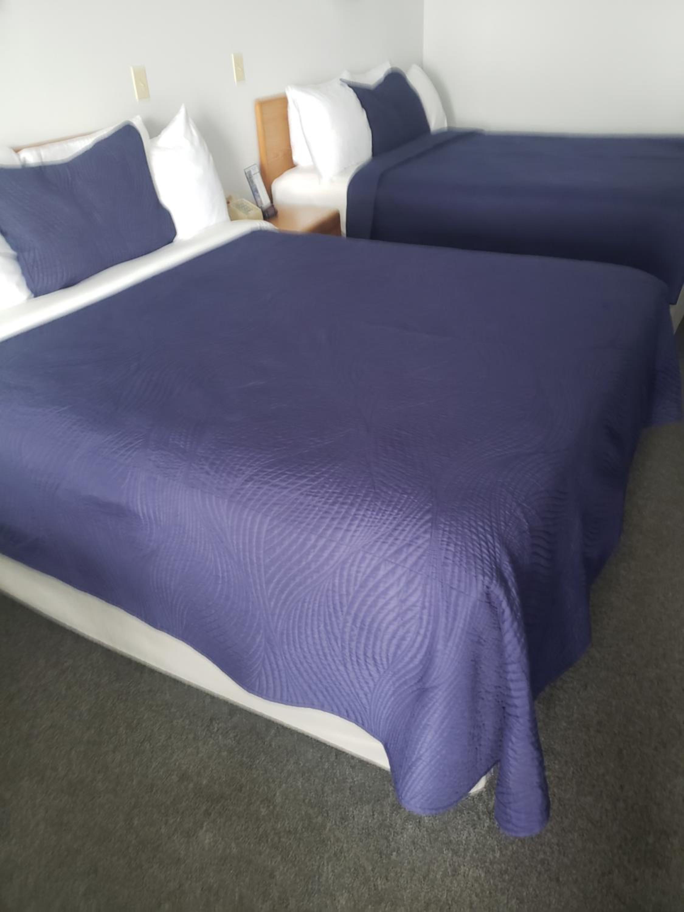 Standard Double Room photo 2