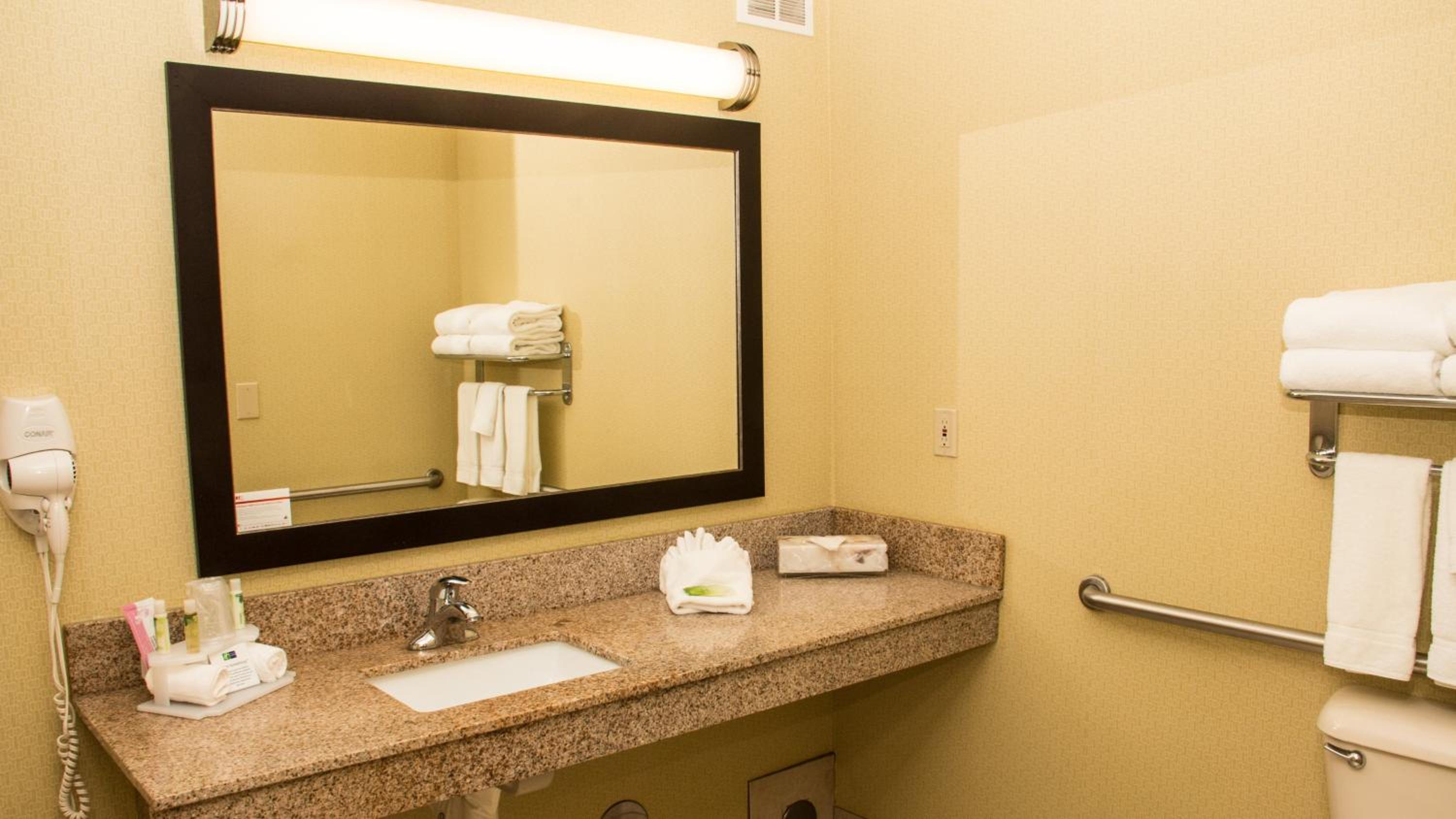 Queen Room - Mobility Access Roll in Shower/Non-Smoking - Photo 6
